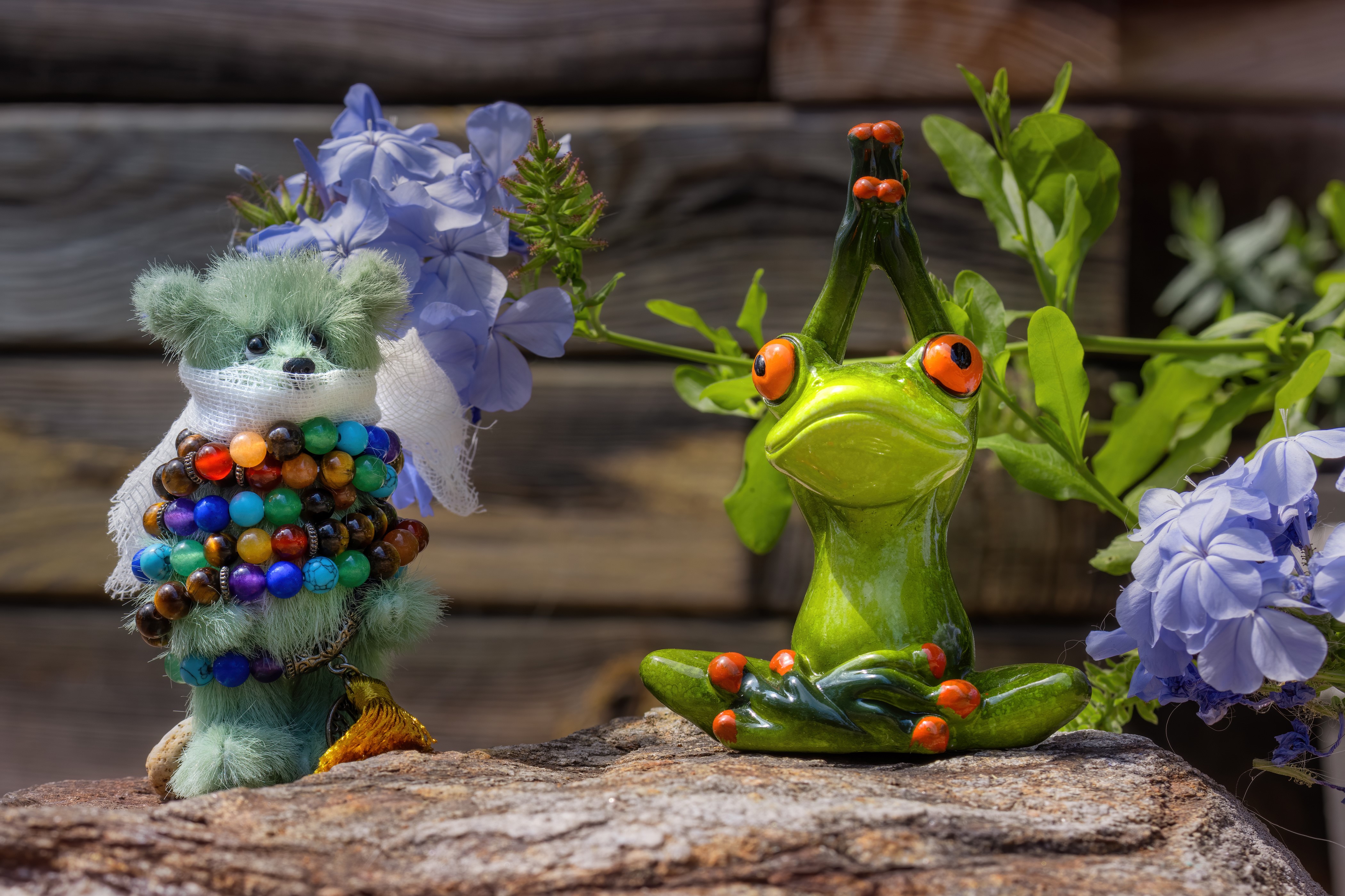 Teddy bear and frog figurines with flowers HD Wallpaper