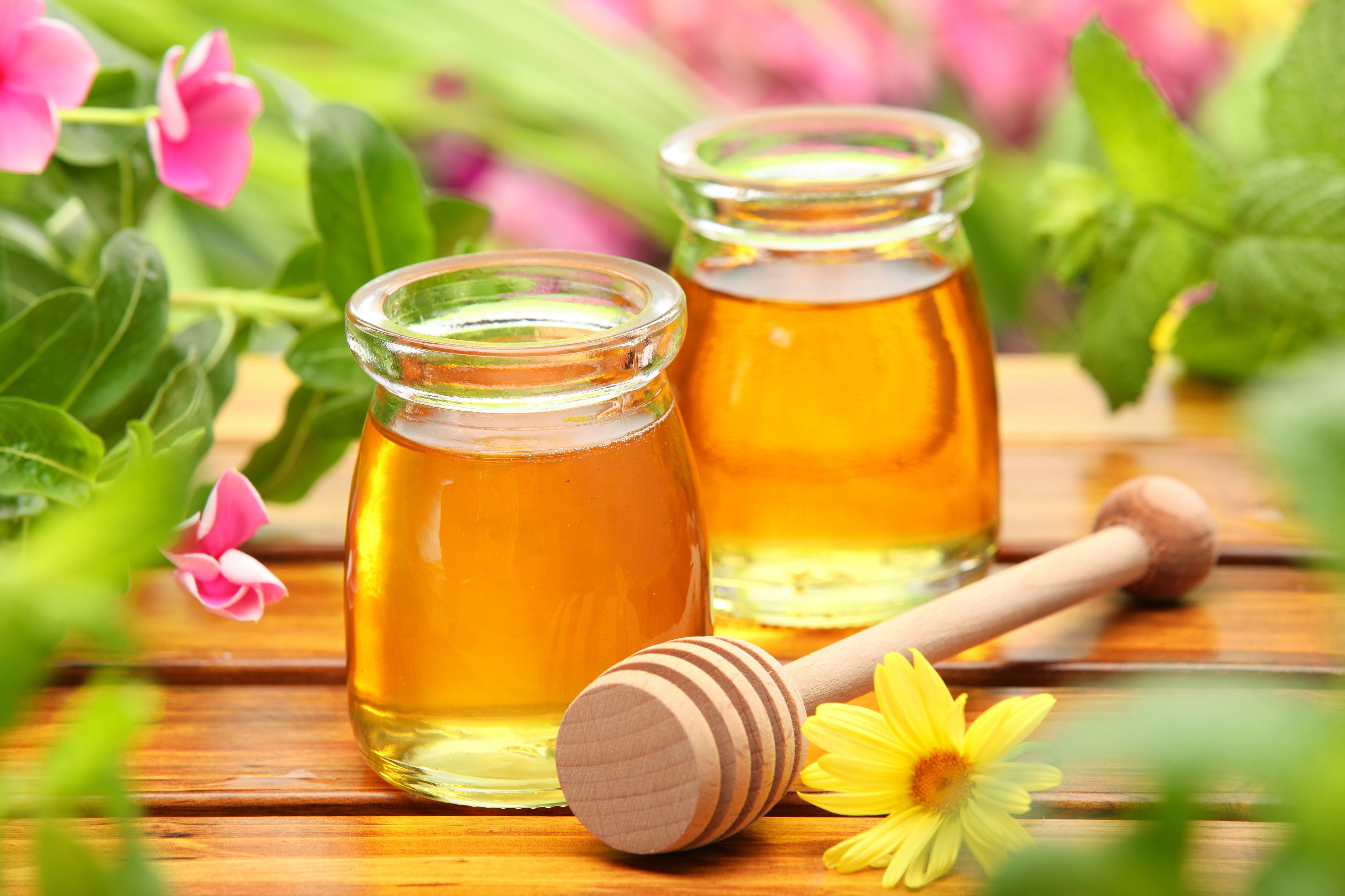 Honey in Jars with Honey Dipper and Flowers HD Wallpaper
