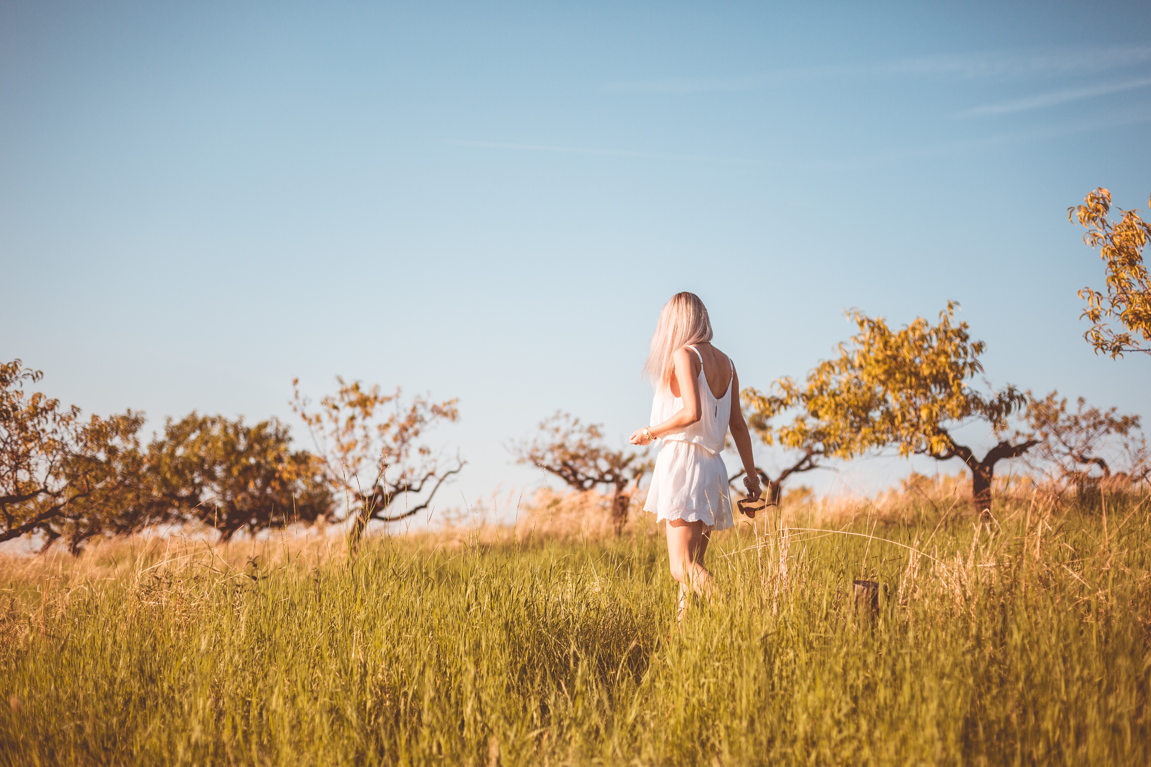 Blonde girl in white dress strolling in a grassy field HD Wallpaper
