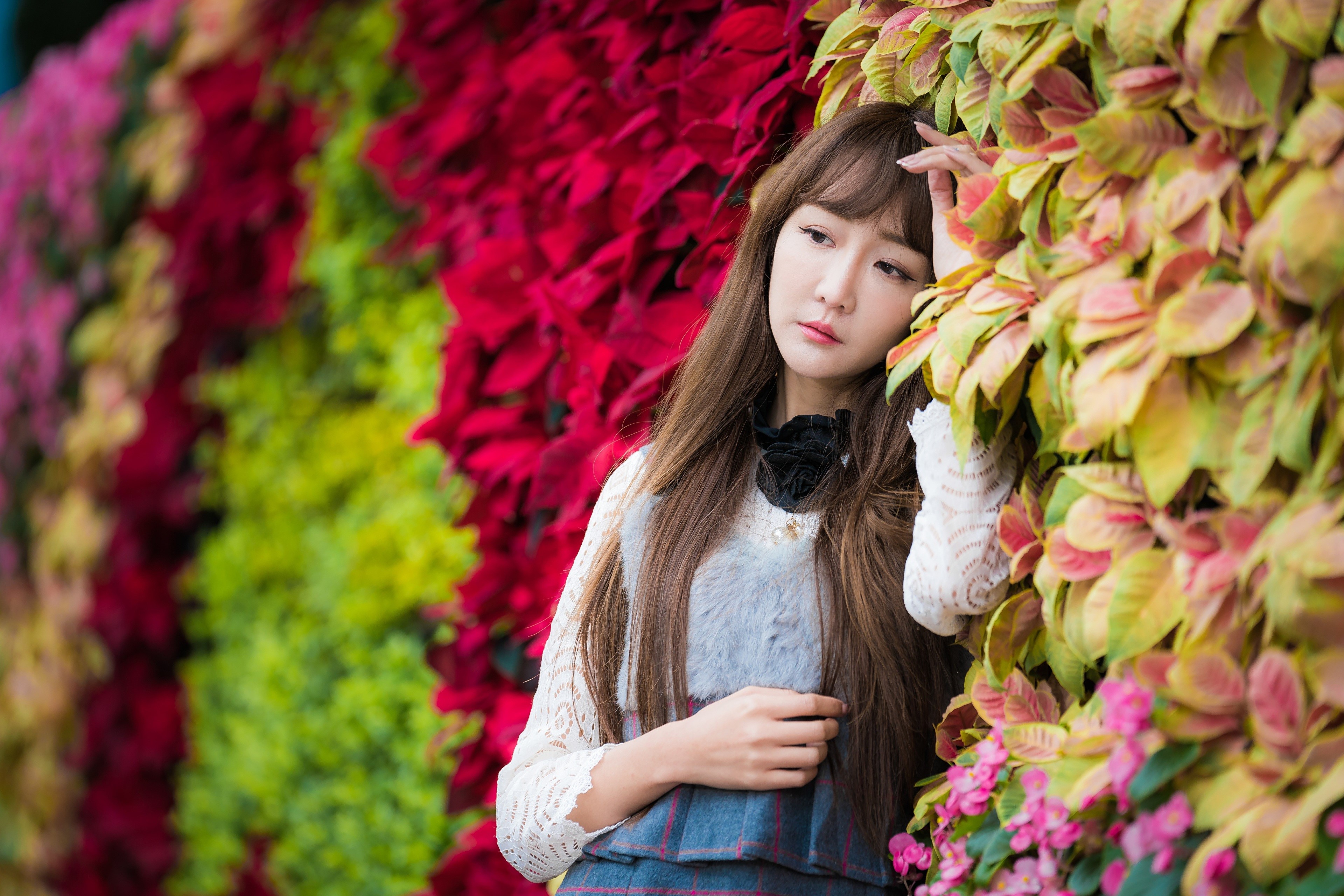 Asian girl with brown hair in foliage HD Wallpaper