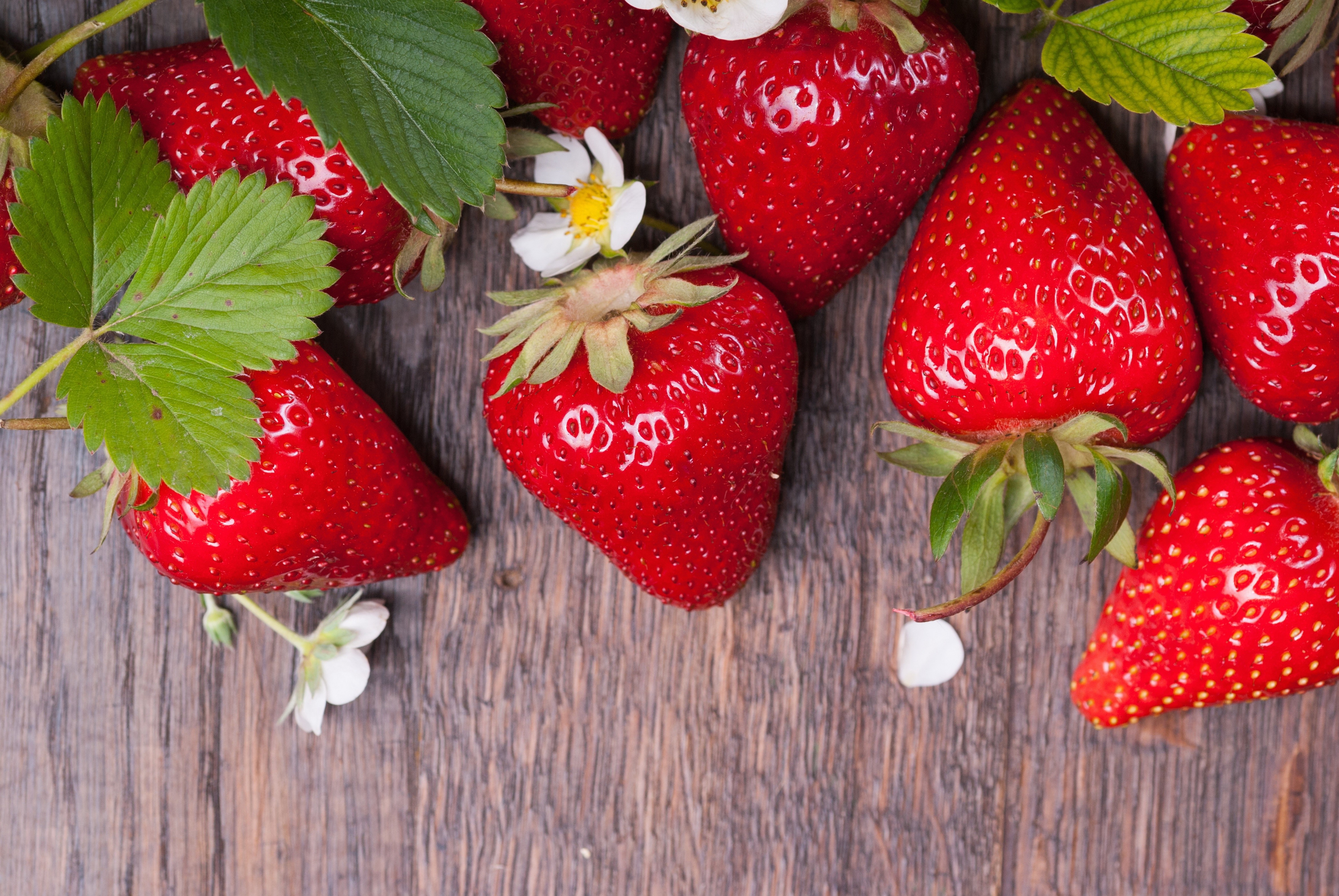 4K Strawberries with Leaves and Flowers HD Wallpaper