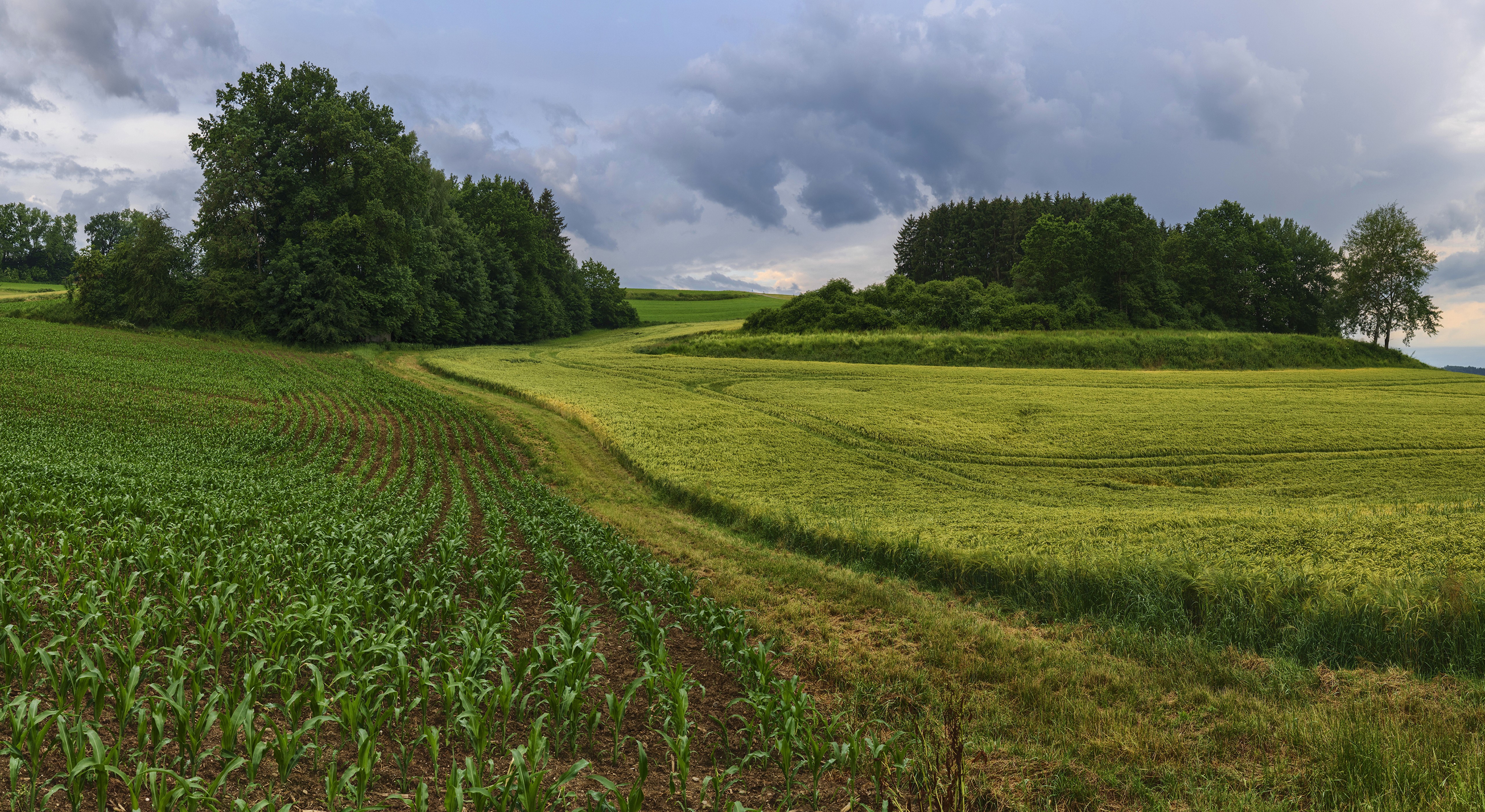 Fields in Landkreis Augsburg, Bavaria, Germany HD Wallpaper