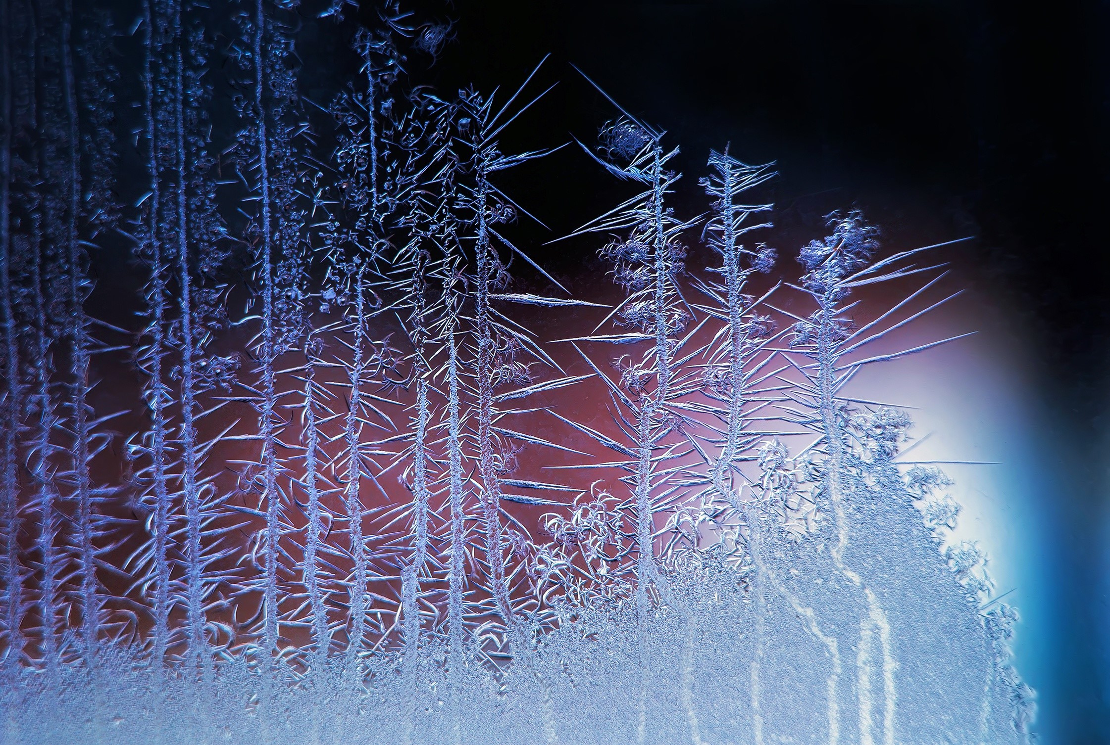 Frost patterns on glass HD Wallpaper