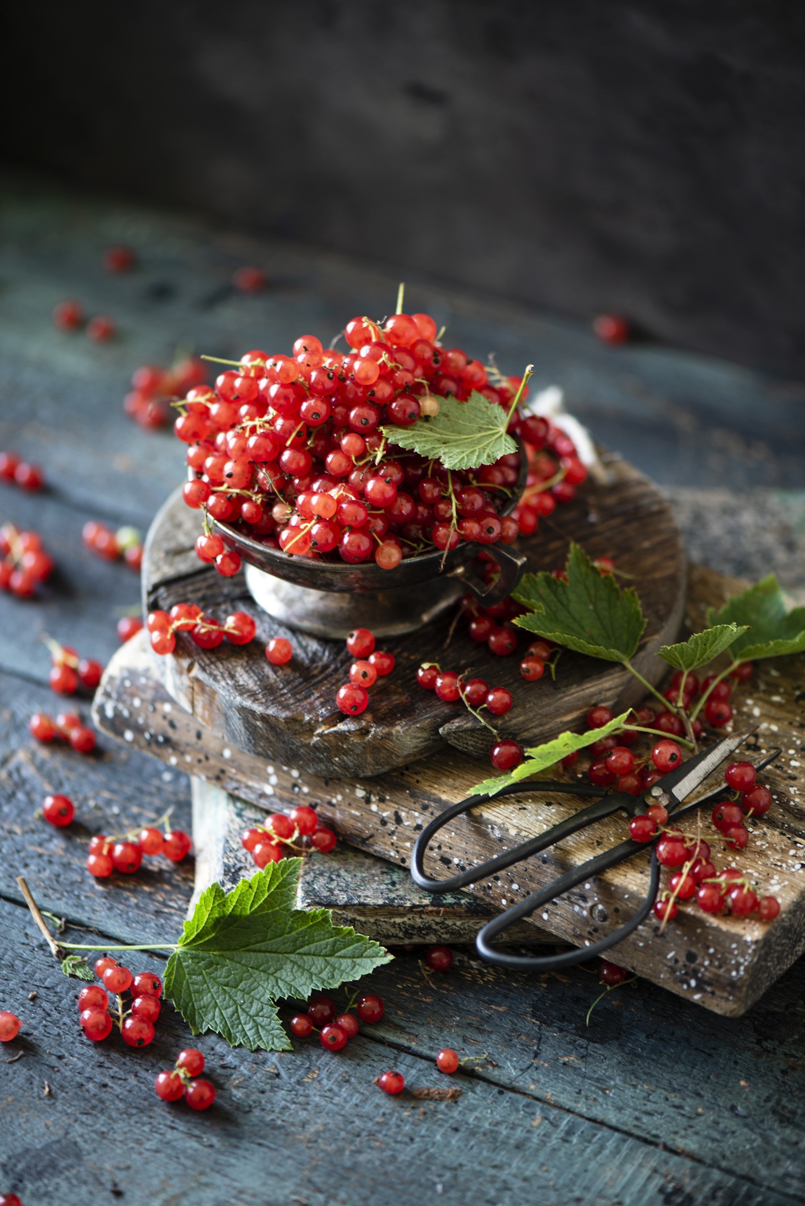 Red currants on wooden planks with scissors HD Phone Wallpaper