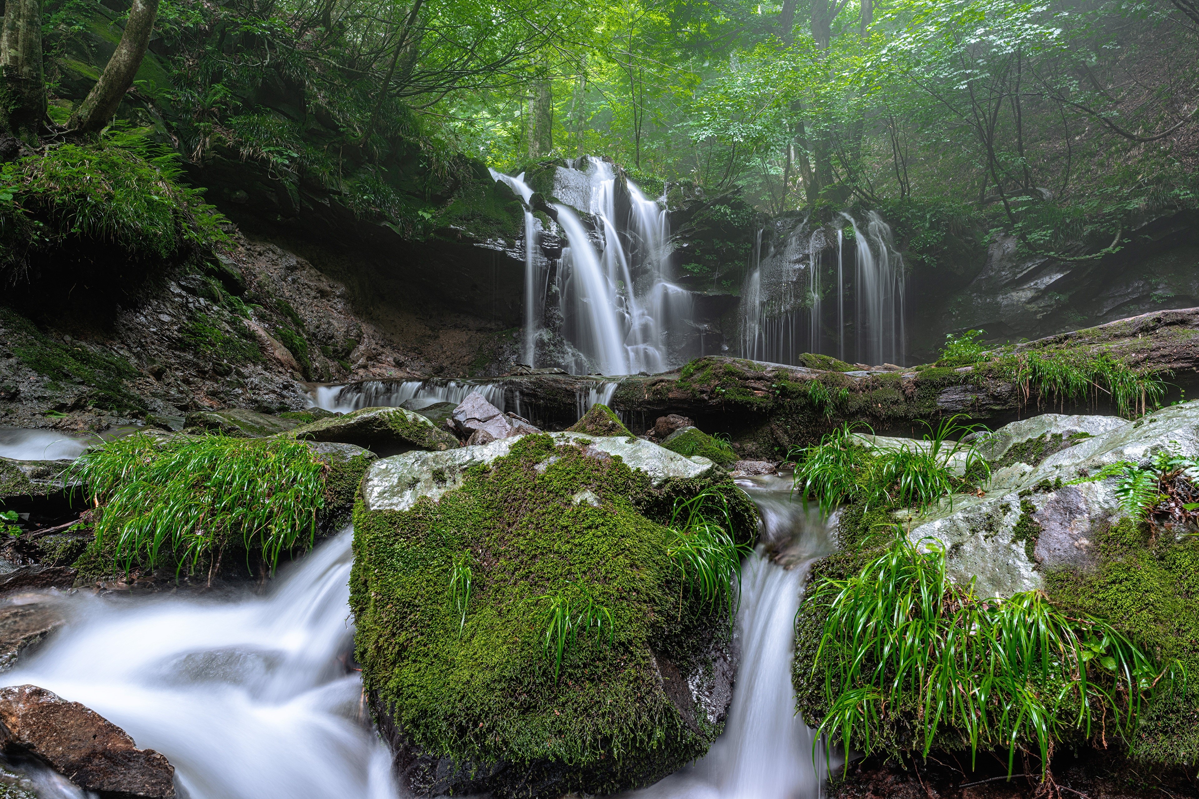 4K Waterfall in a Mossy Forest with Fog HD Wallpaper