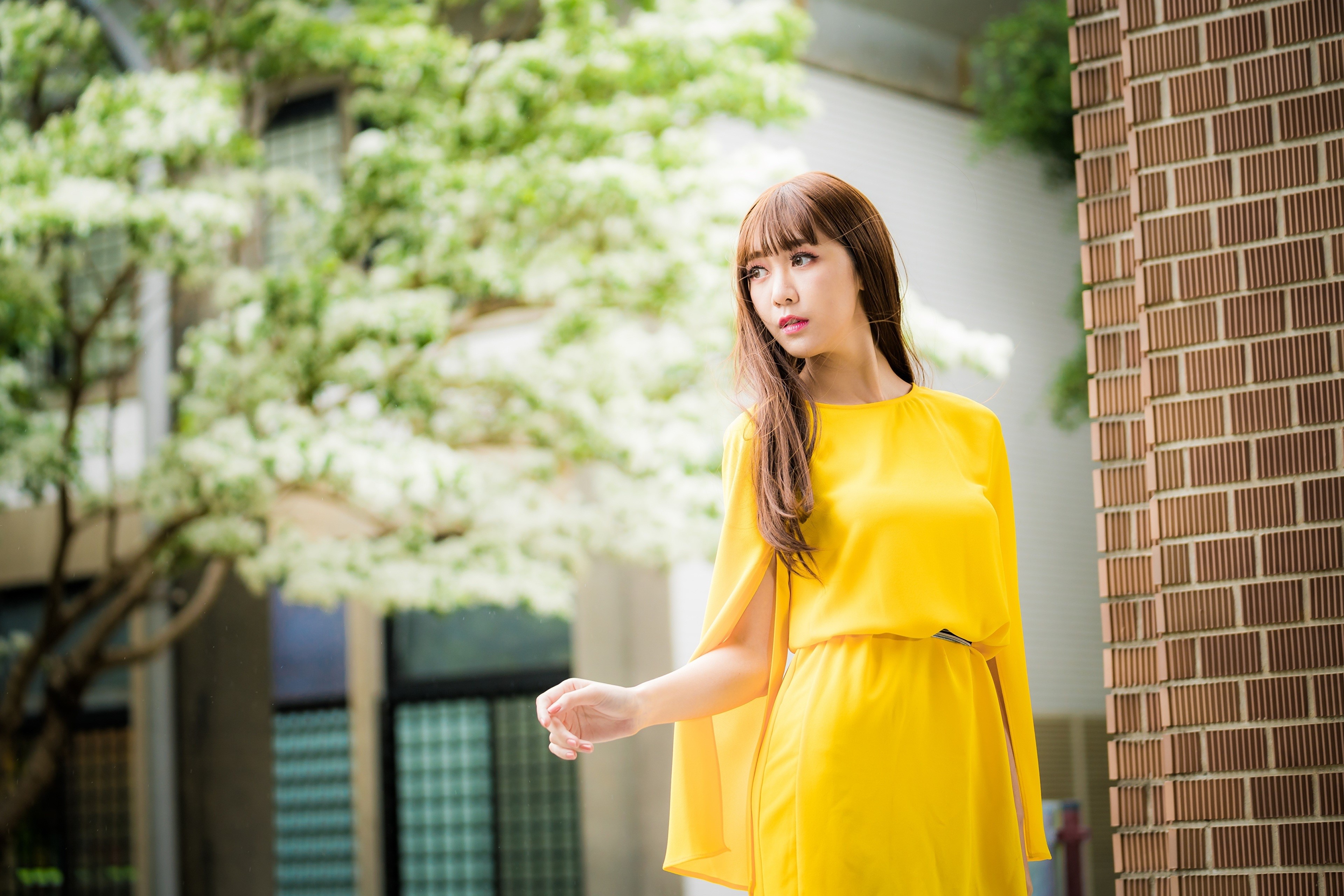 4K Asian Woman in Yellow Dress with Bokeh HD Wallpaper