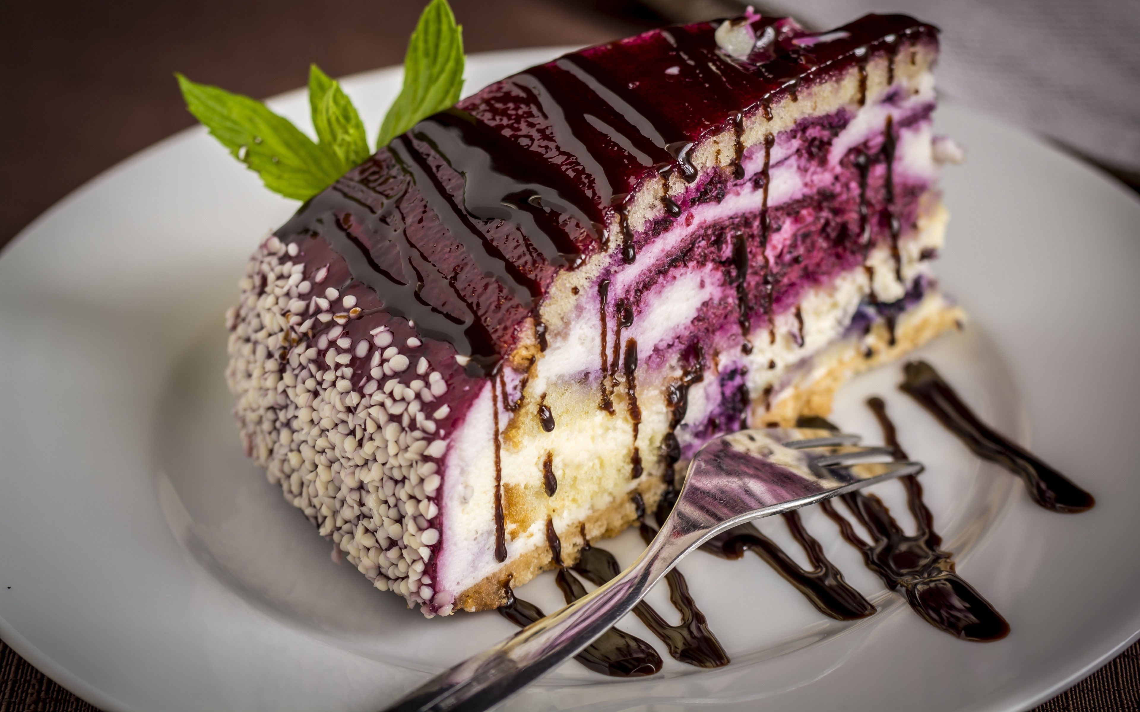 Slice of Blueberry Cake with Chocolate Drizzle HD Wallpaper