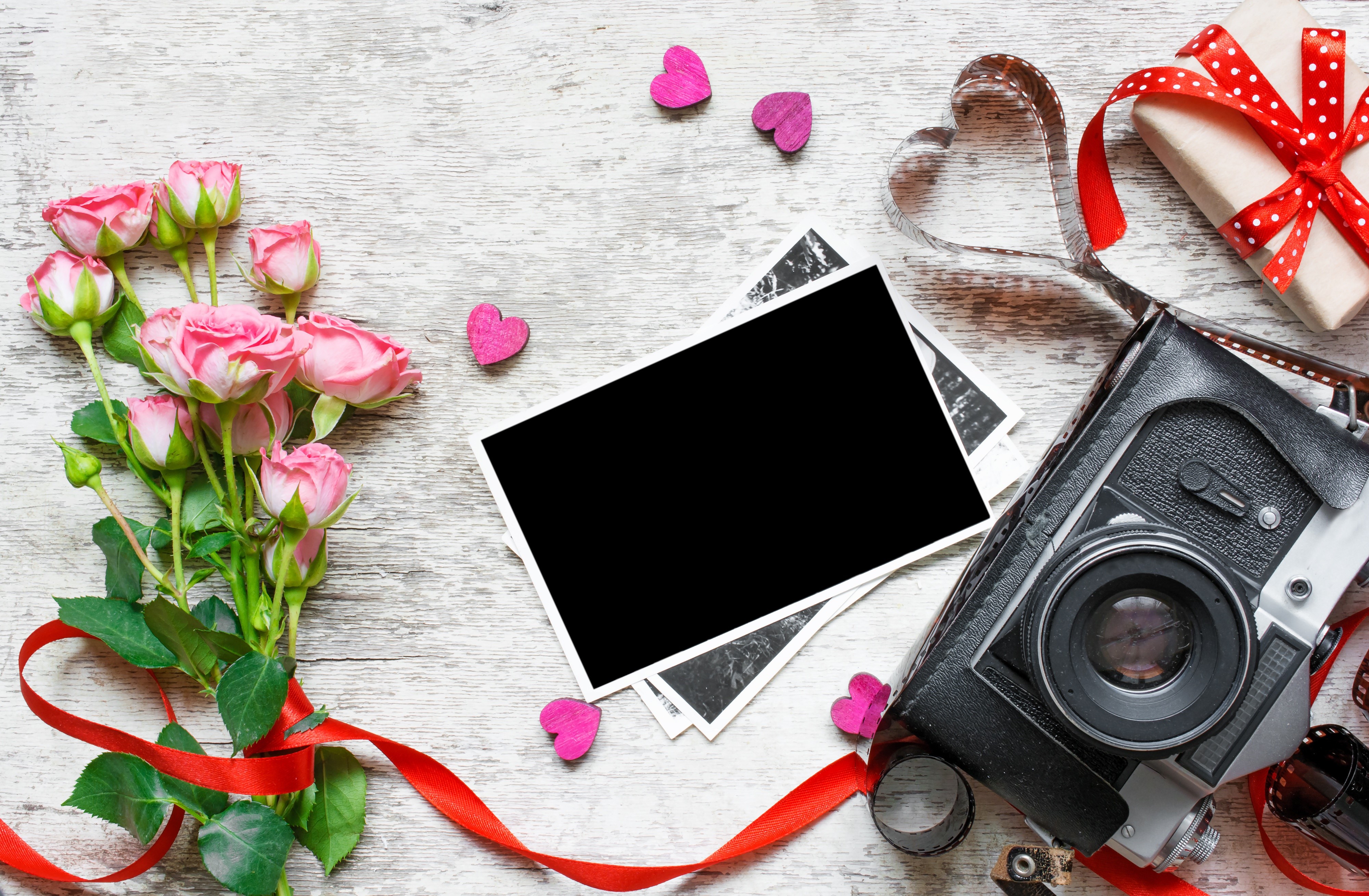 Roses, Camera, Photos, Gift, and Hearts for Valentine's Day HD Wallpaper