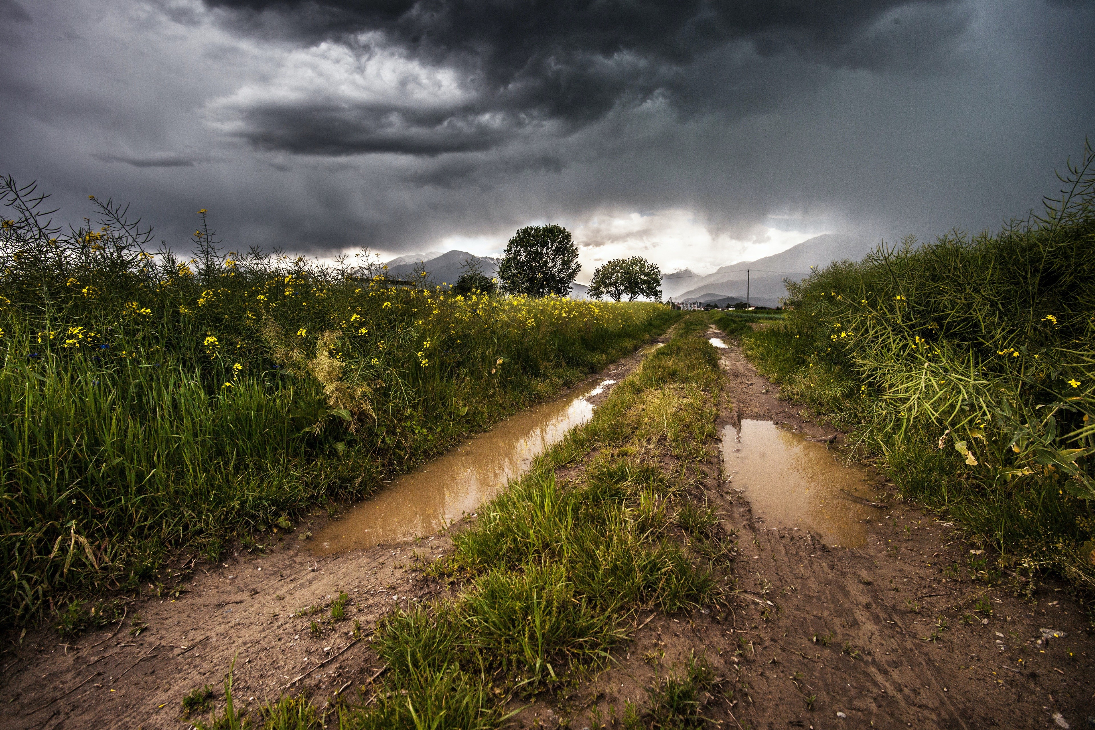 4K Mountain Road through Green Fields under Thunderclouds HD Wallpaper