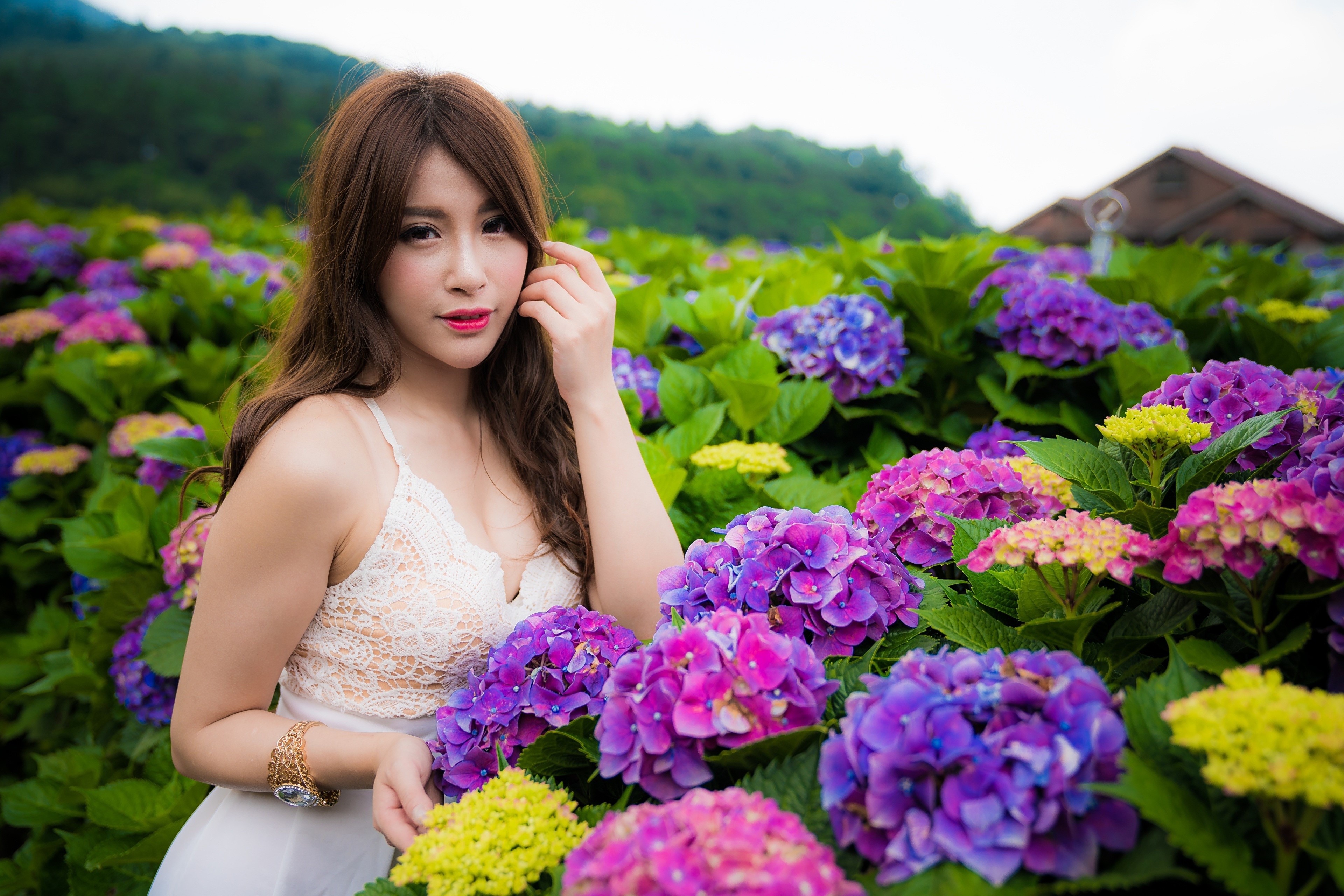 4K Asian Woman Surrounded by Vibrant Hydrangeas HD Wallpaper