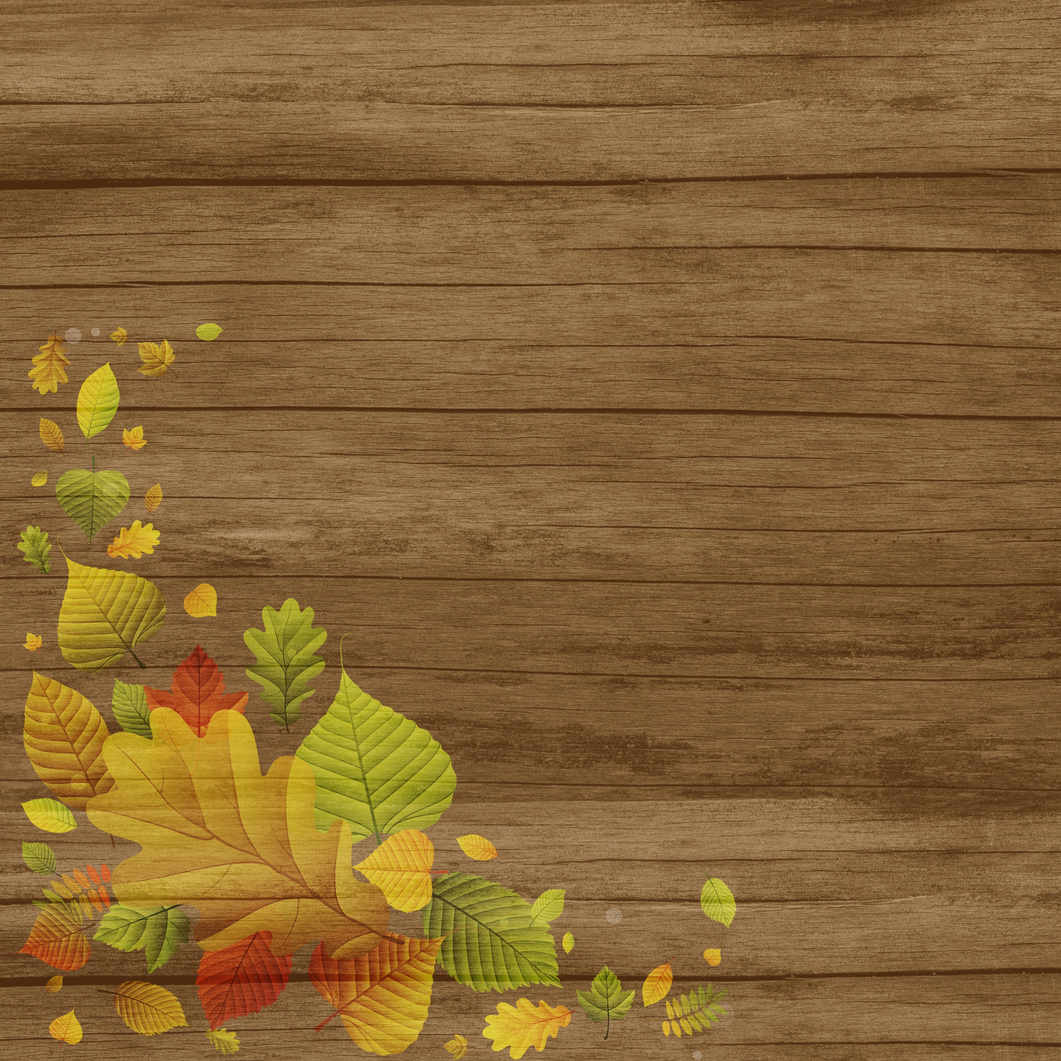 Autumn leaves on wooden planks HD Wallpaper