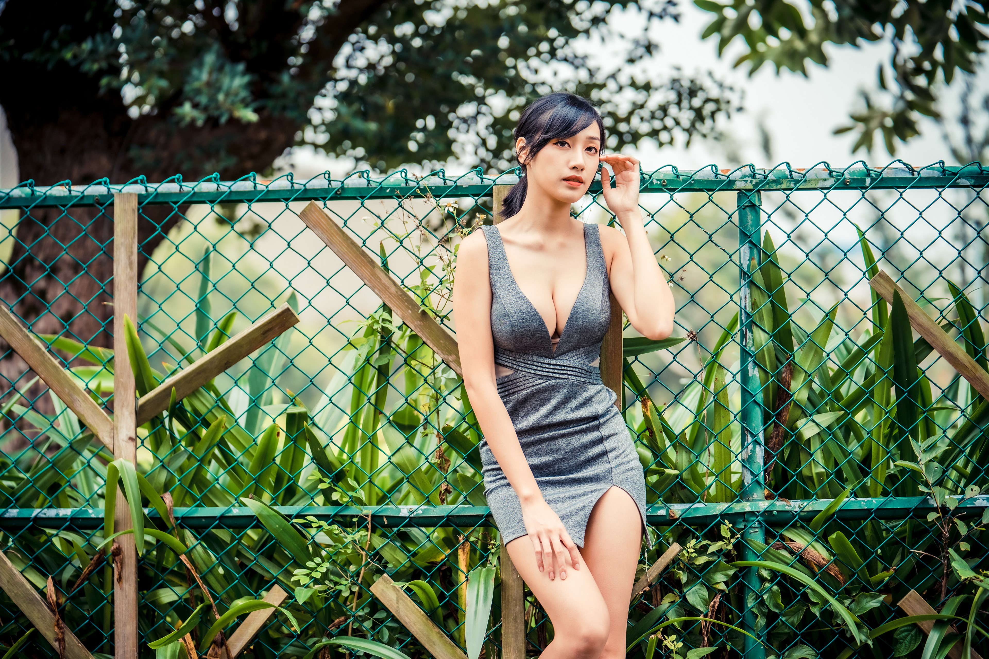 Asian woman in a grey dress by a fence HD Wallpaper