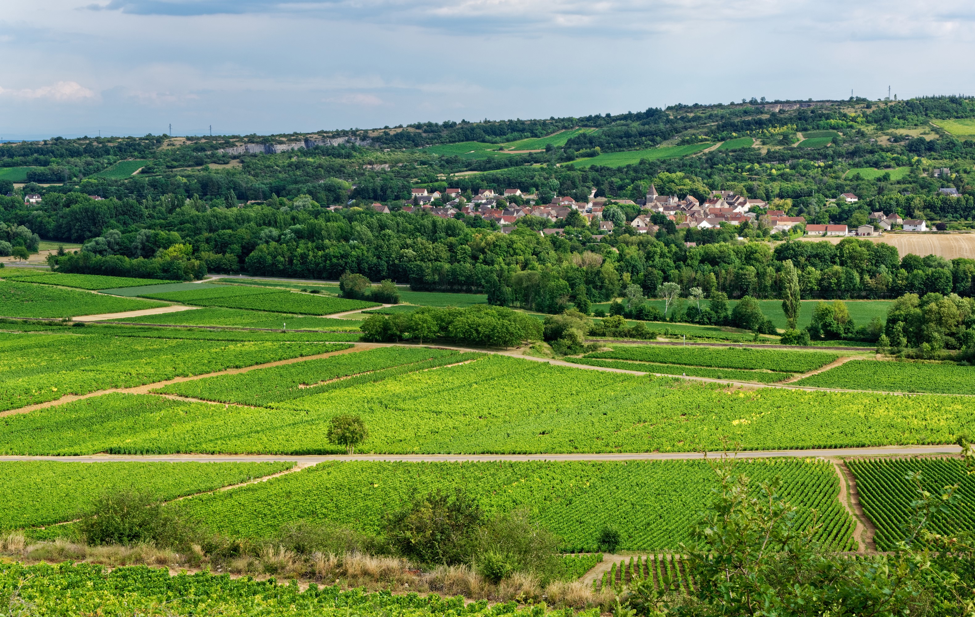 Vineyards and village in Santenay, Bourgogne, France HD Wallpaper