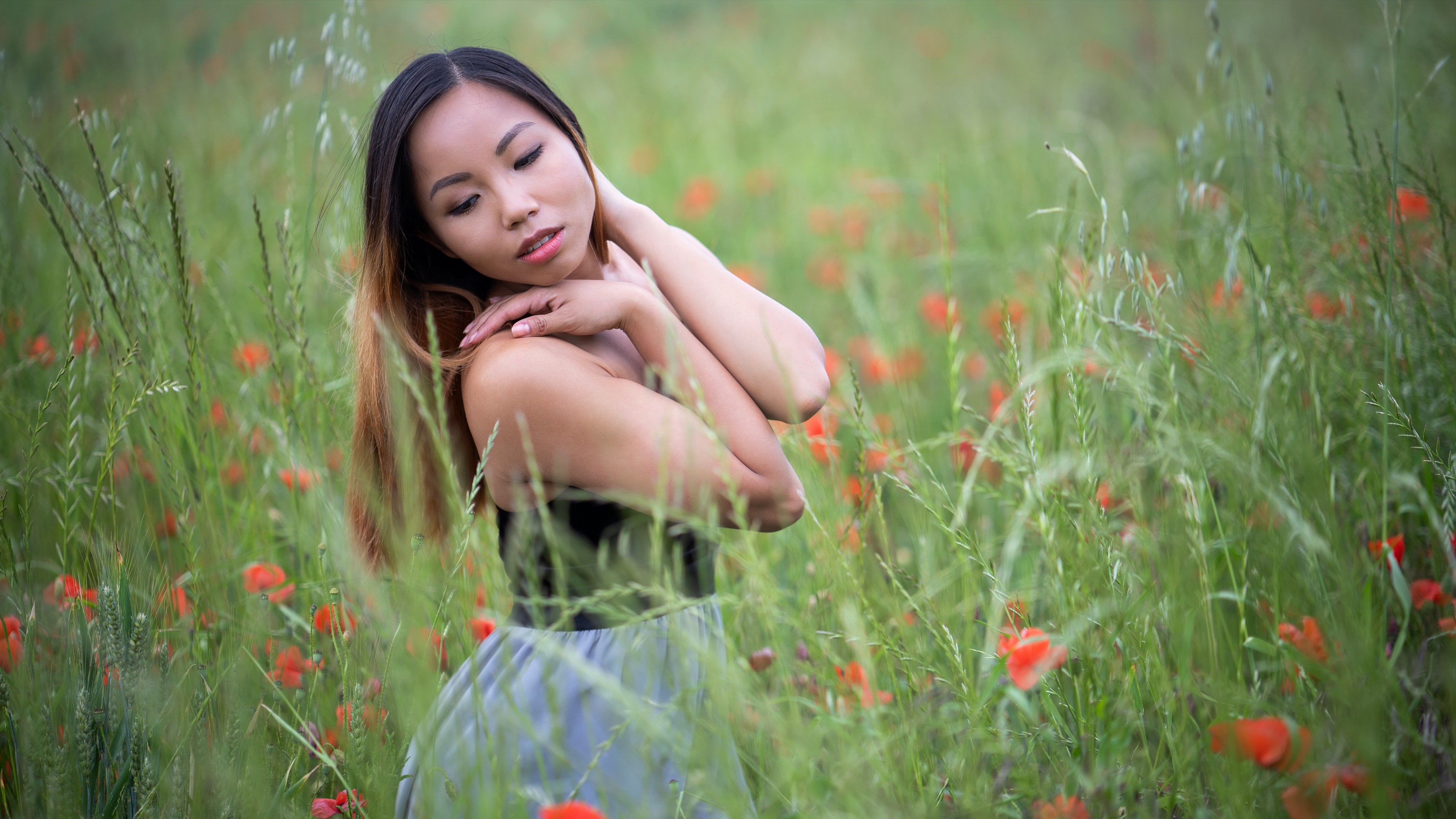 Asian woman with brown hair posing in a field of poppies HD Wallpaper
