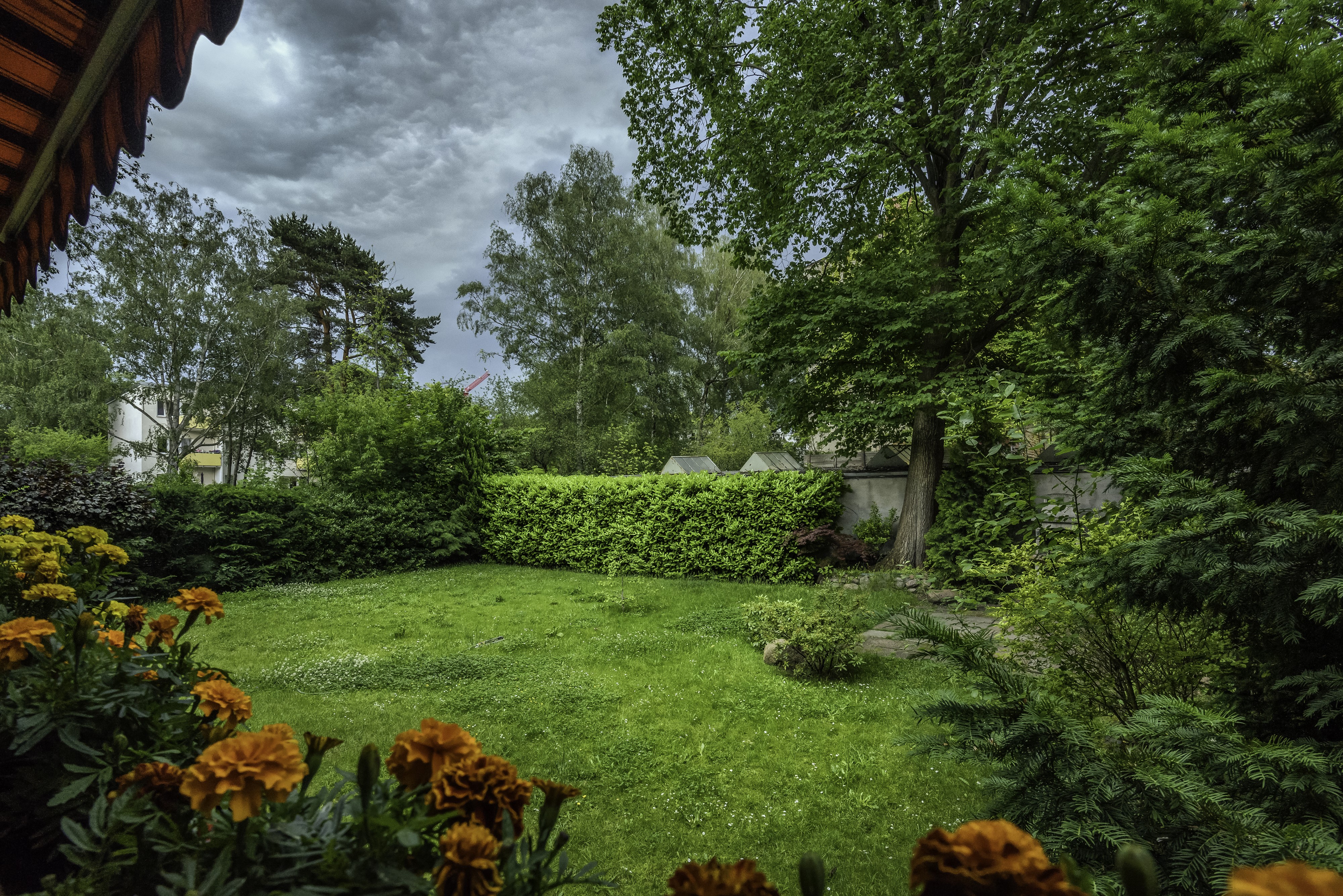 Garden with Marigolds, Lawn, Shrubs, and Trees in Berlin, Germany HD Wallpaper