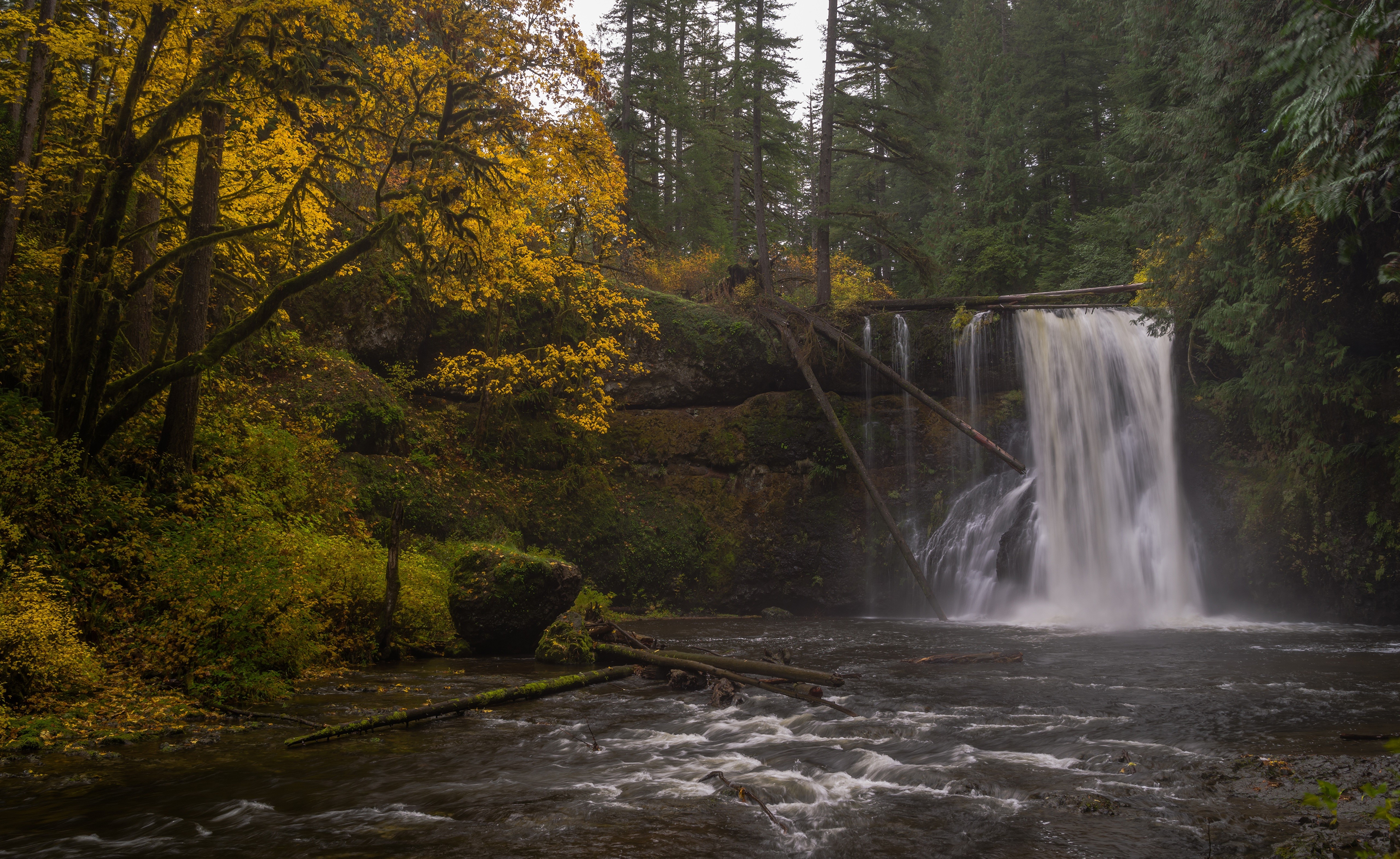 Upper North Falls, Silver Falls State Park, Oregon HD Wallpaper