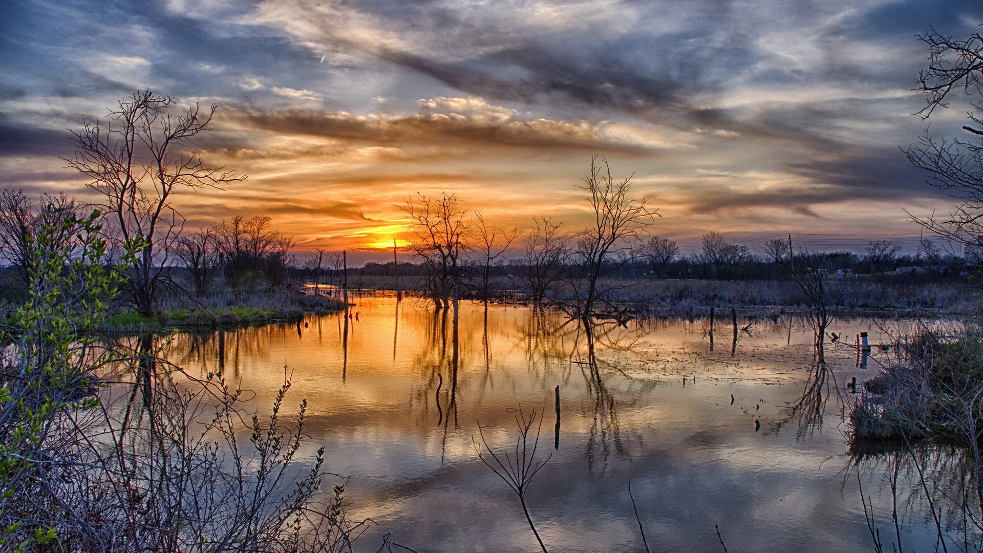 Sunset over a flooded forest with reflections HD Wallpaper