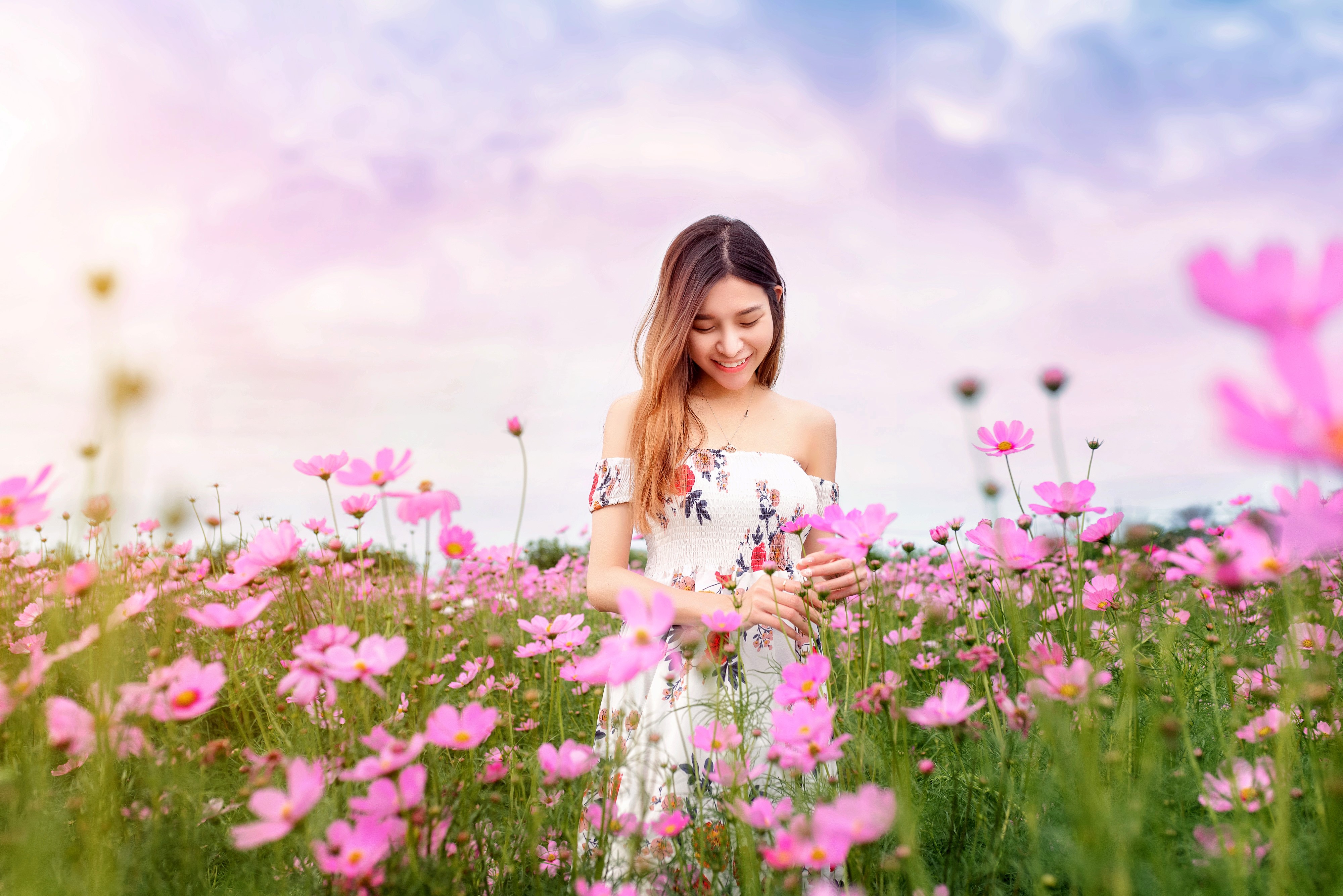 Asian woman in a floral dress in a field of cosmos flowers HD Wallpaper