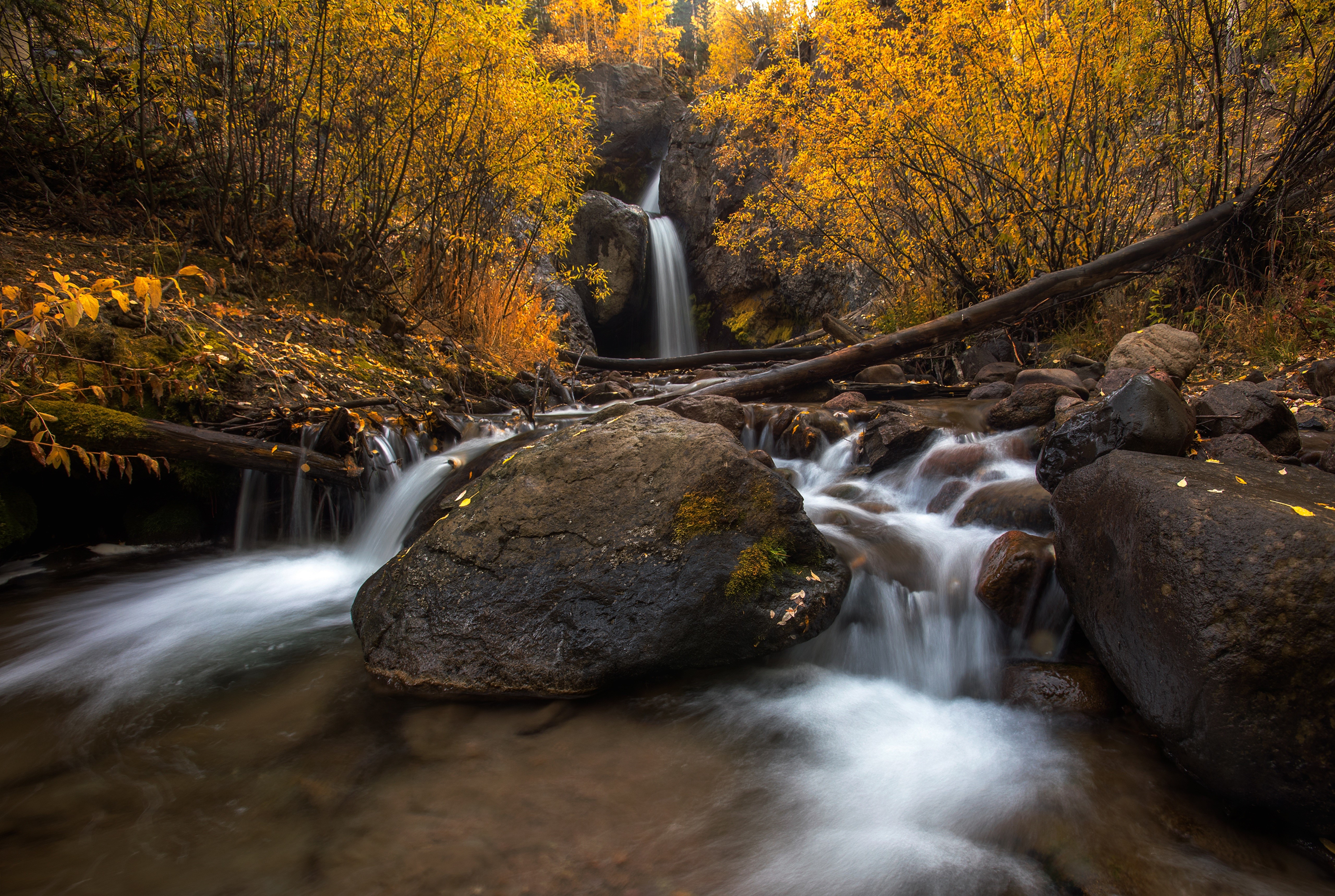Autumn Waterfall with Golden Foliage and Rocks HD Wallpaper