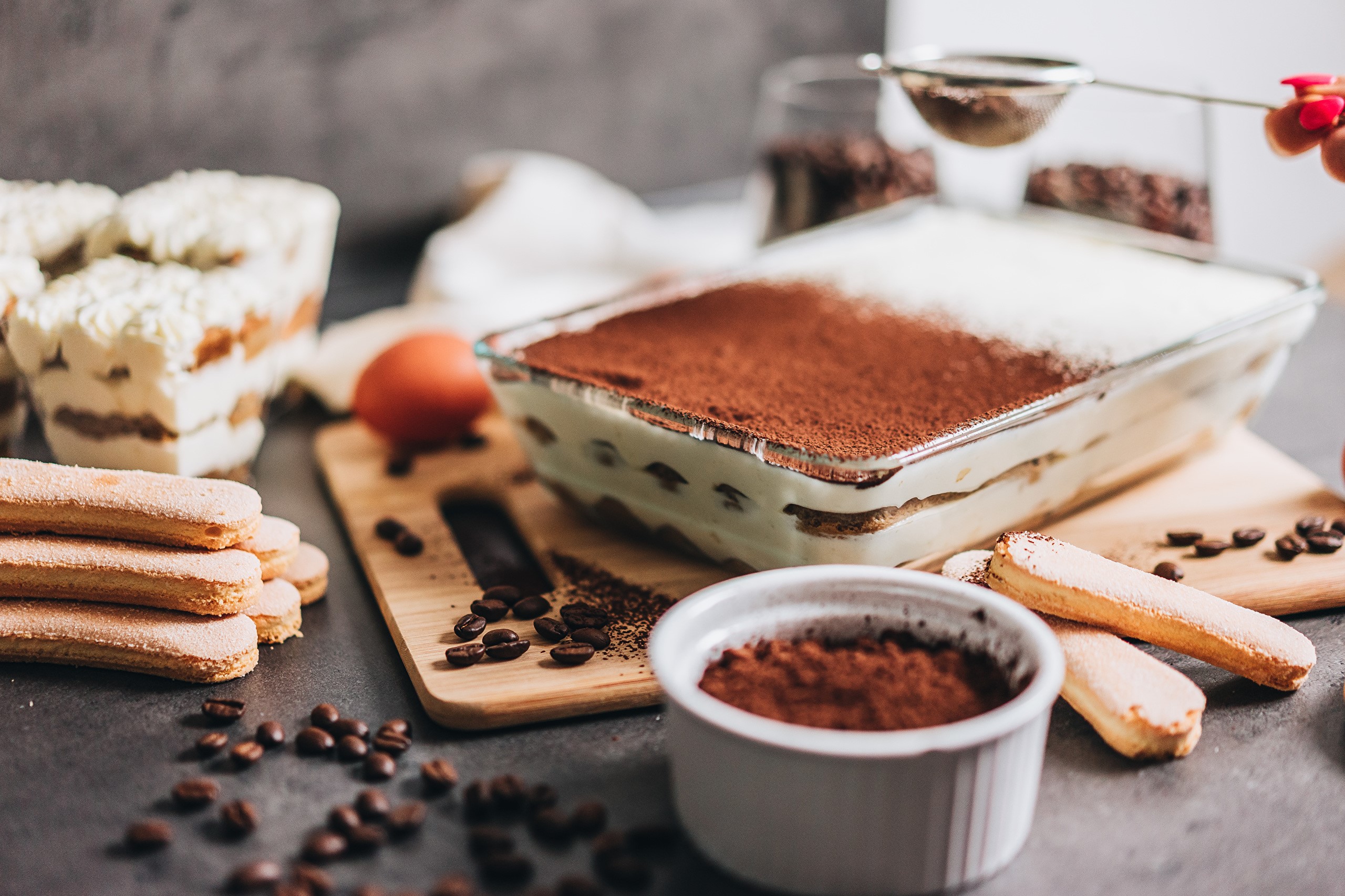 Tiramisu dessert with ladyfingers and cocoa powder HD Wallpaper