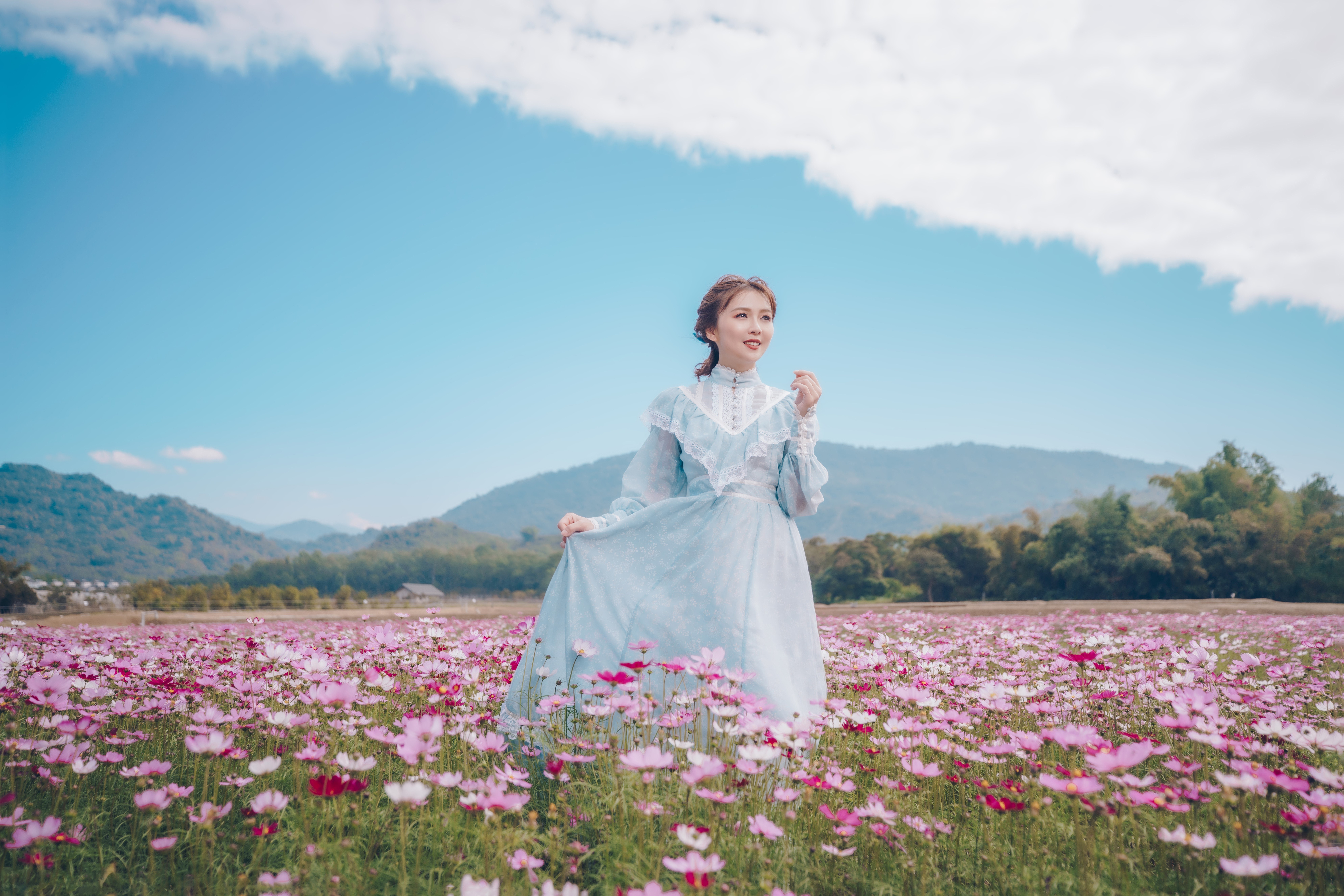Woman in a blue dress in a field of cosmos flowers HD Wallpaper