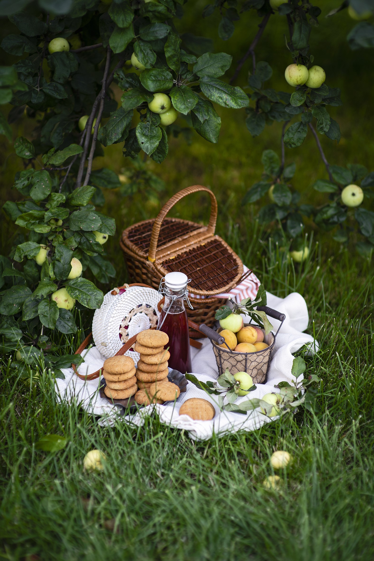 Picnic with cookies, apricots, and apples under a tree HD Phone Wallpaper