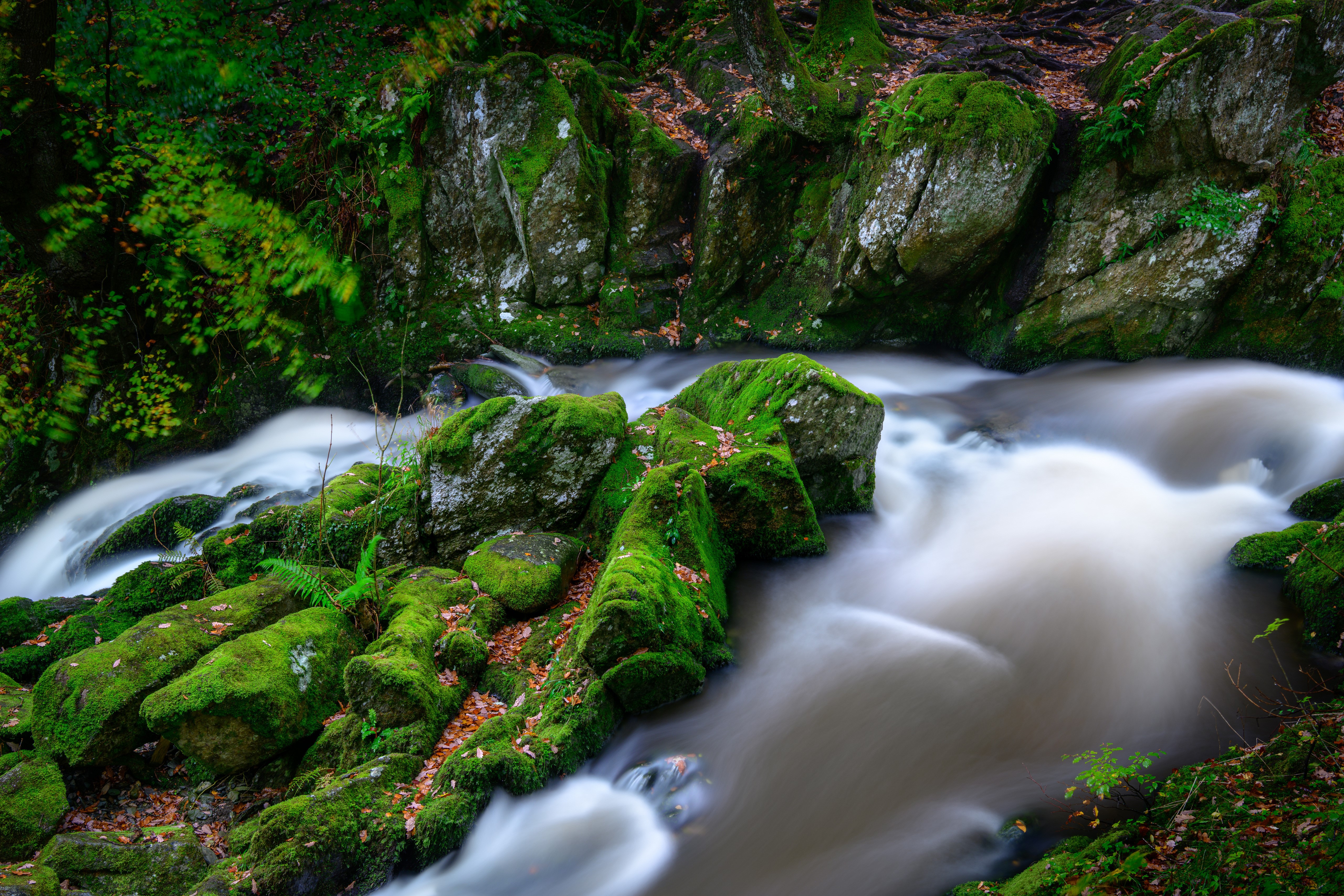 Mossy Rocks and River in Lake District, England HD Wallpaper