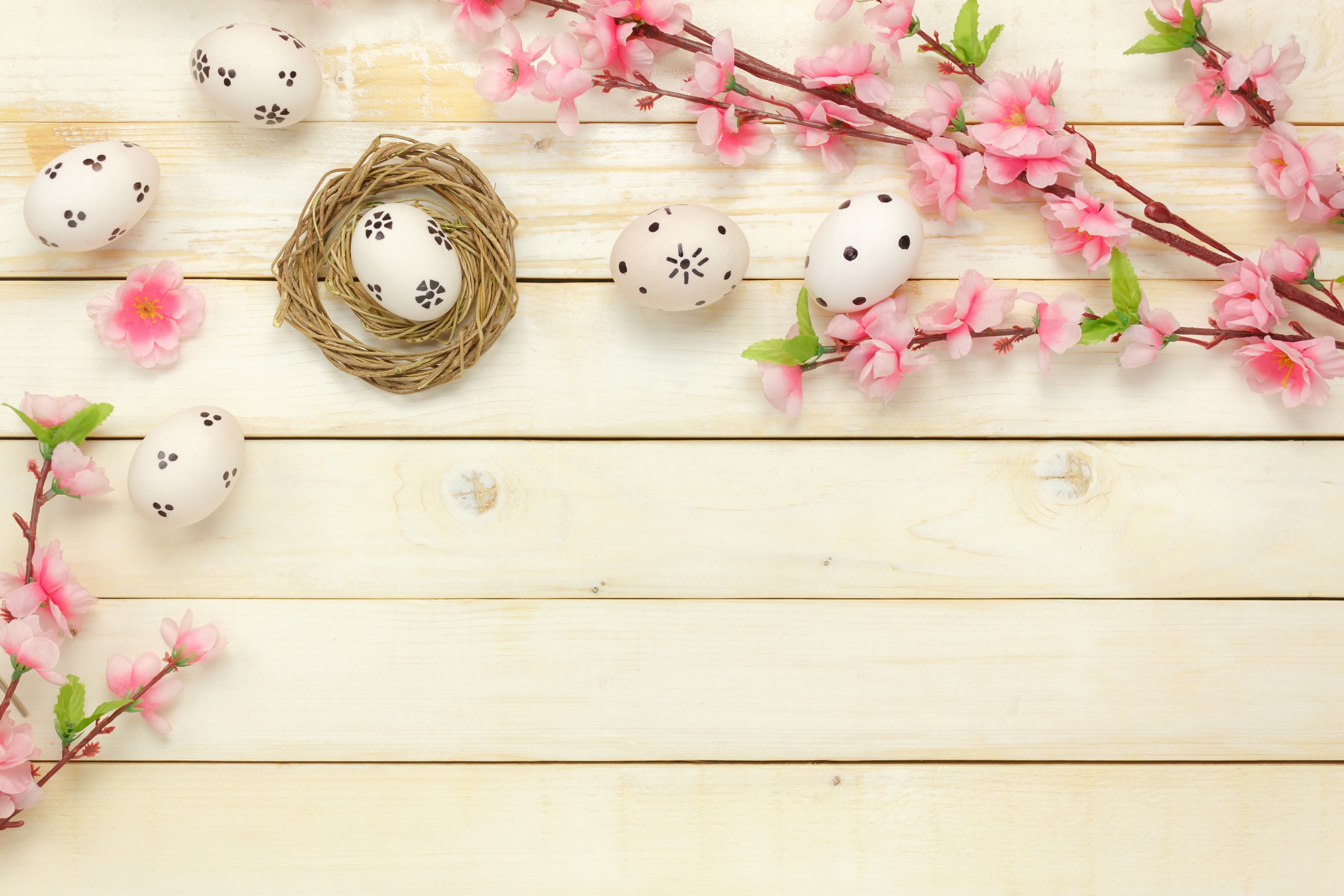 Easter eggs and pink flowers on wood planks HD Wallpaper