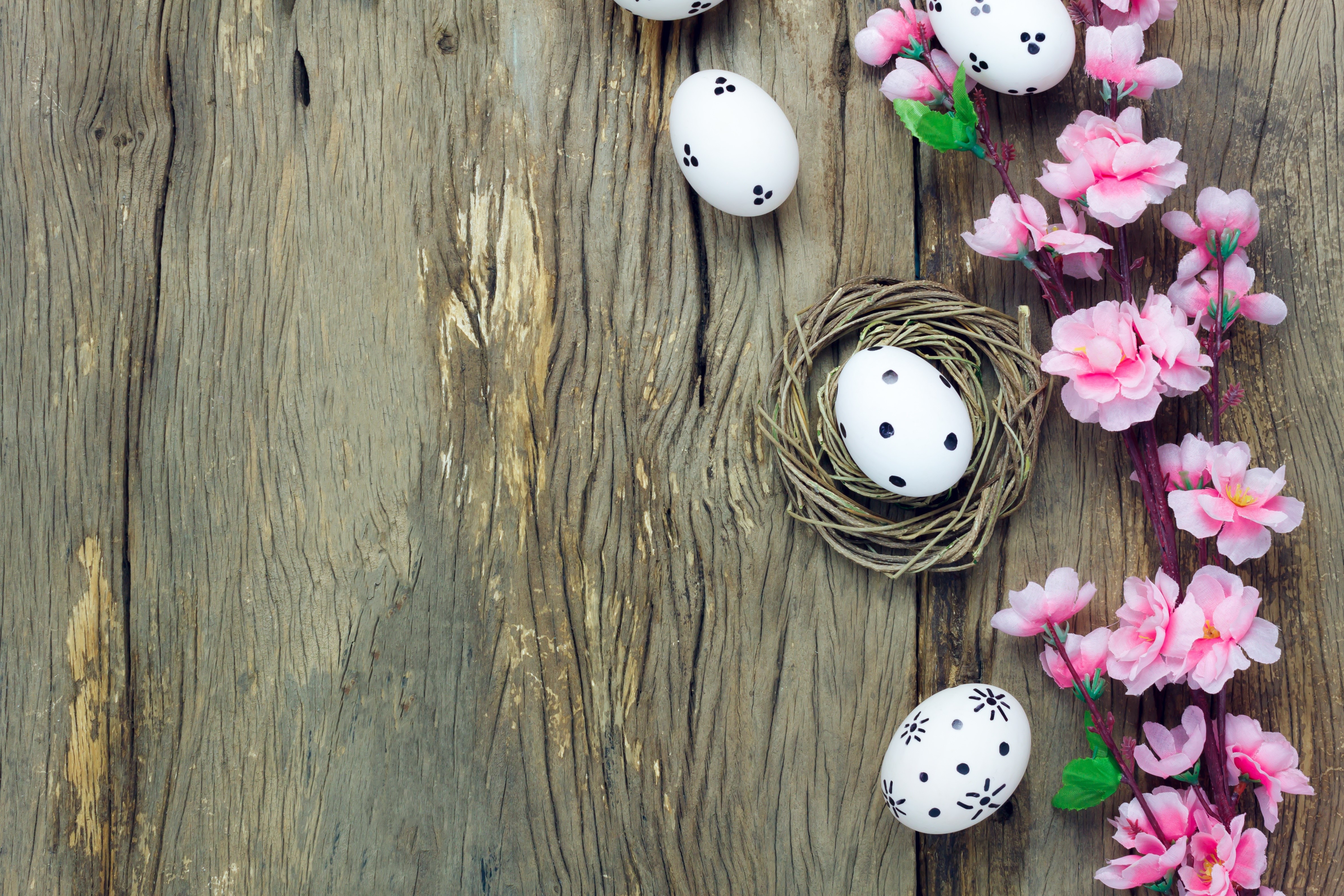 Easter eggs and pink flowers on wooden background HD Wallpaper