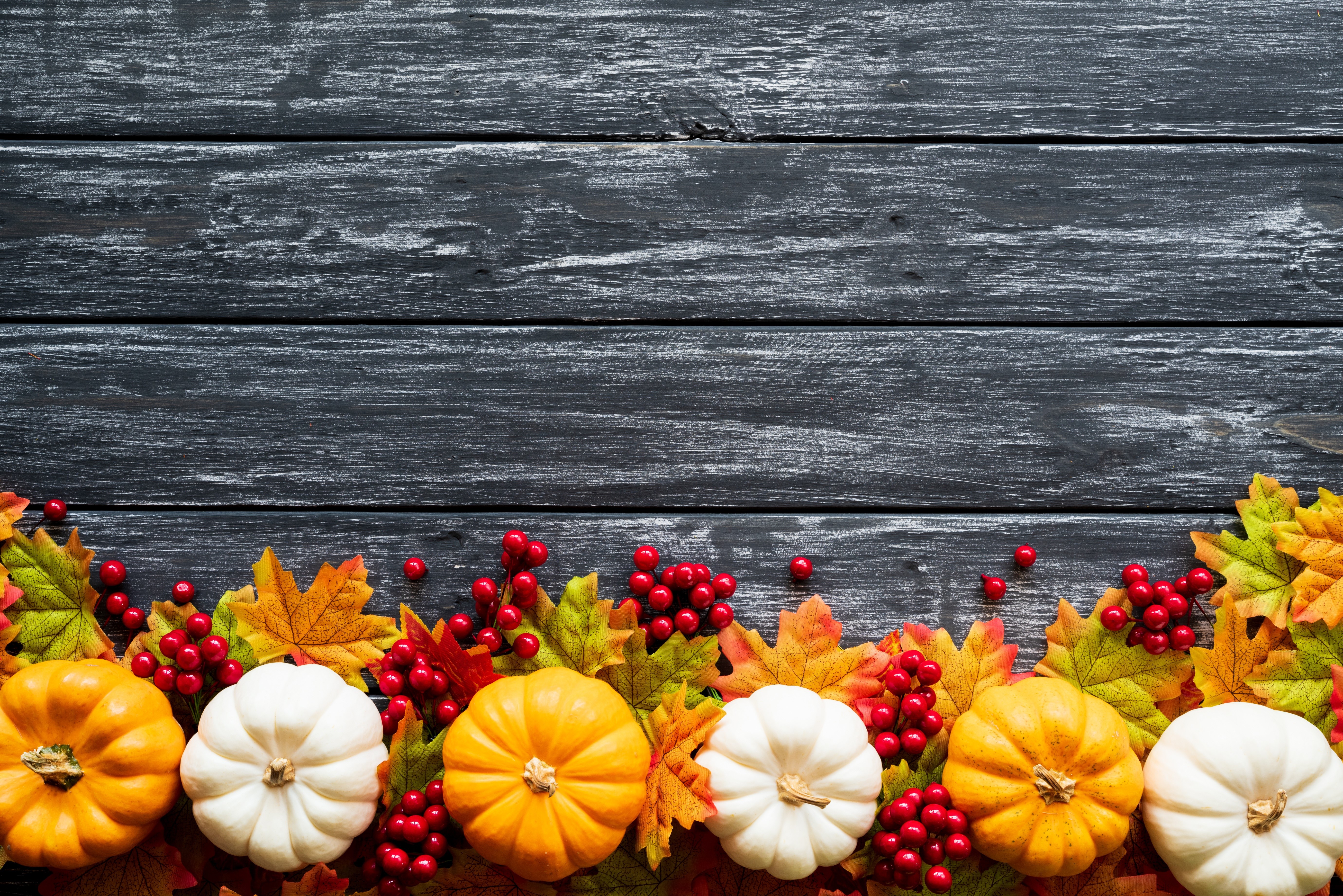 Autumn pumpkins and leaves on wood planks HD Wallpaper