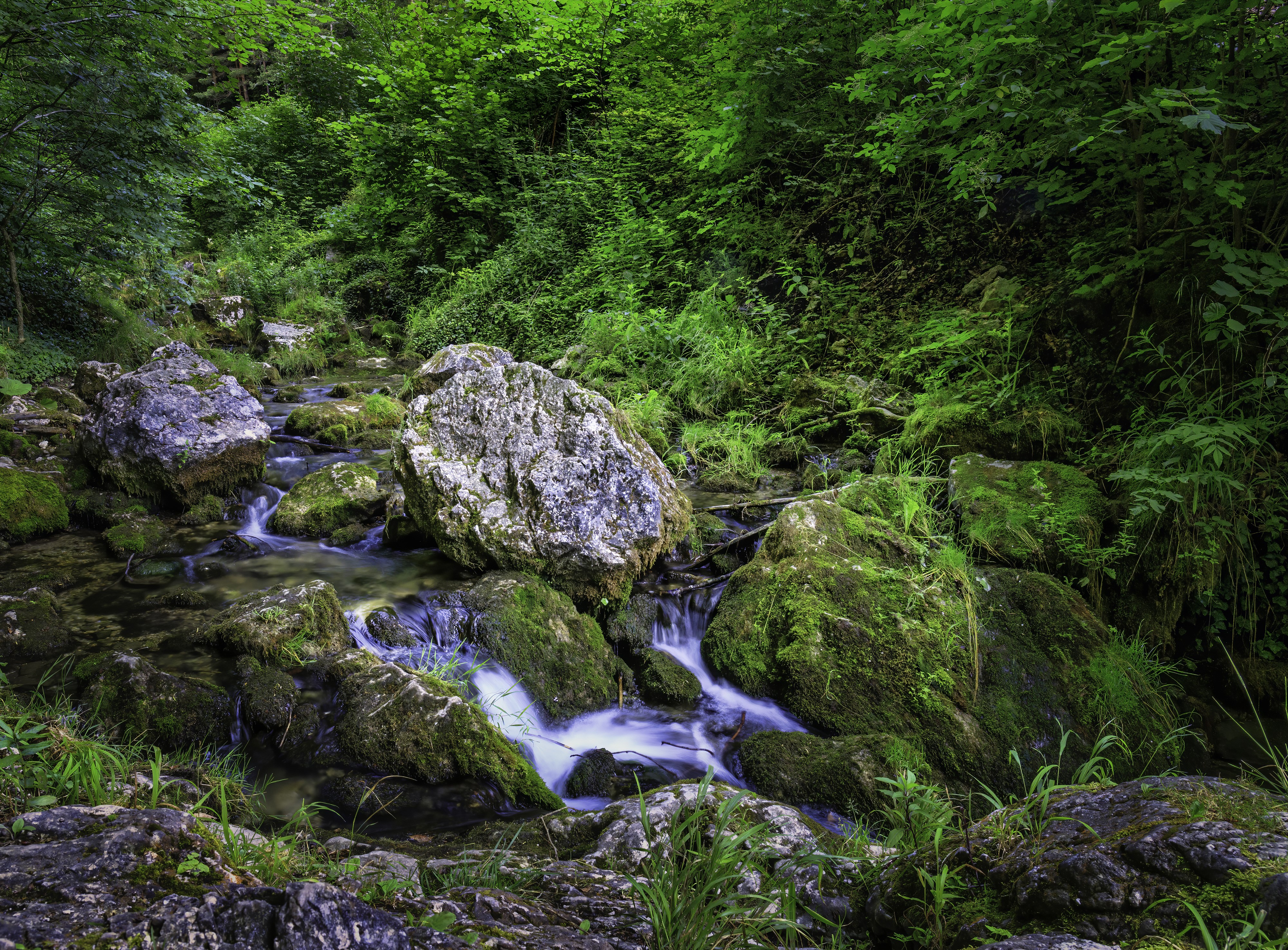 Stream flowing over mossy stones in Muggendorf, Austria HD Wallpaper