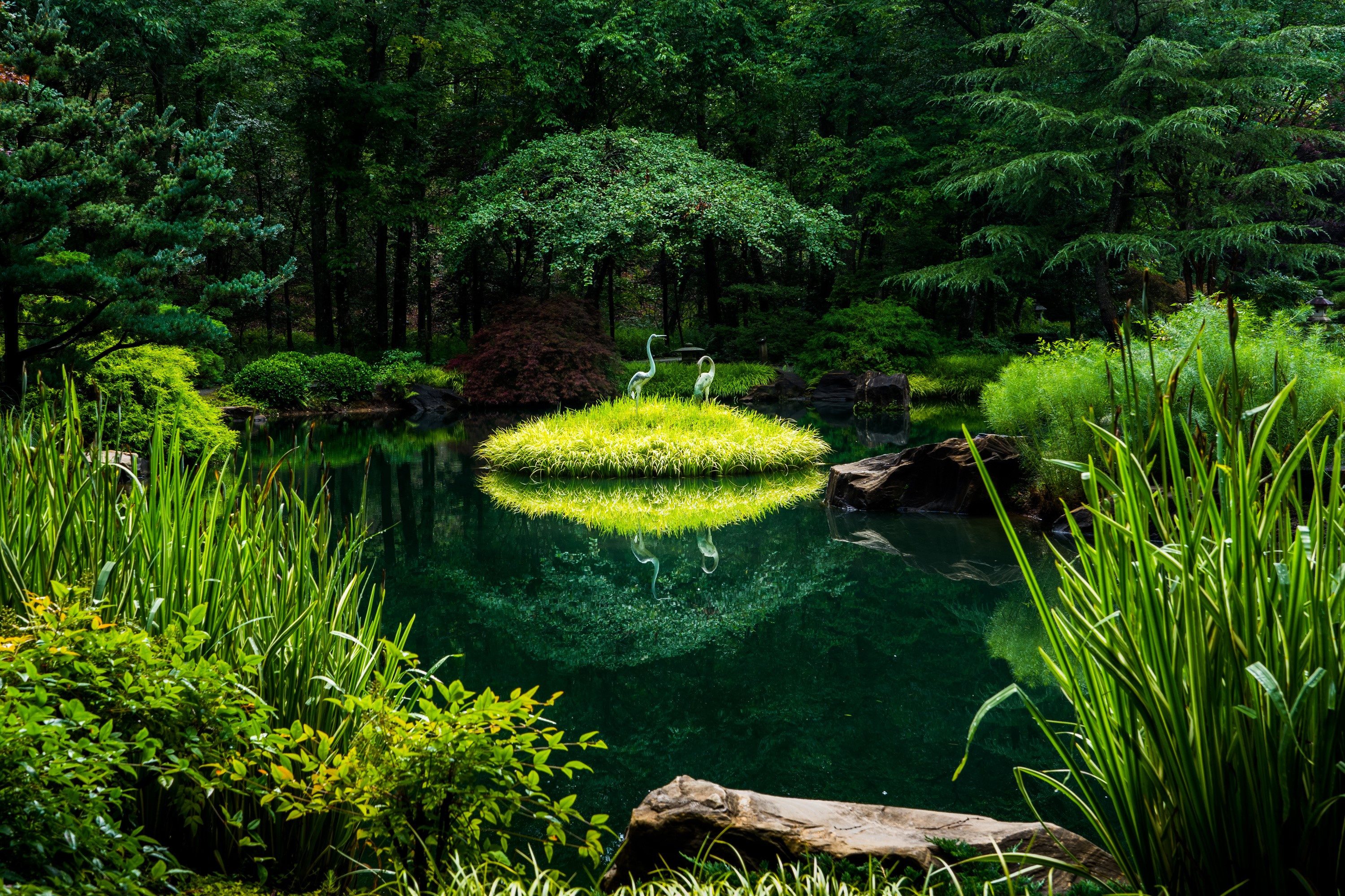 Gibbs Gardens pond with decorative cranes and lush greenery HD Wallpaper
