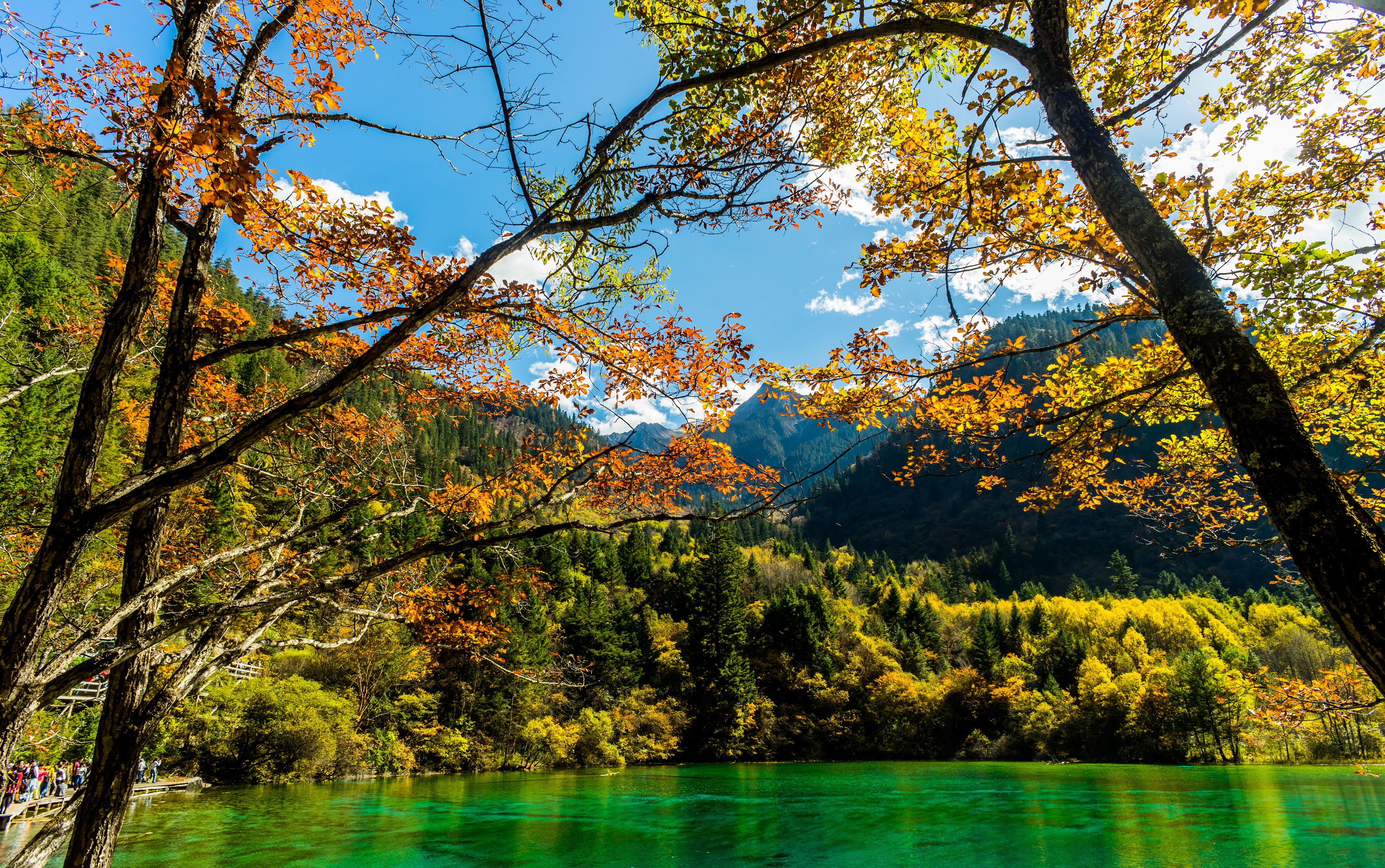 Jiuzhaigou Park Lake in Autumn, China HD Wallpaper