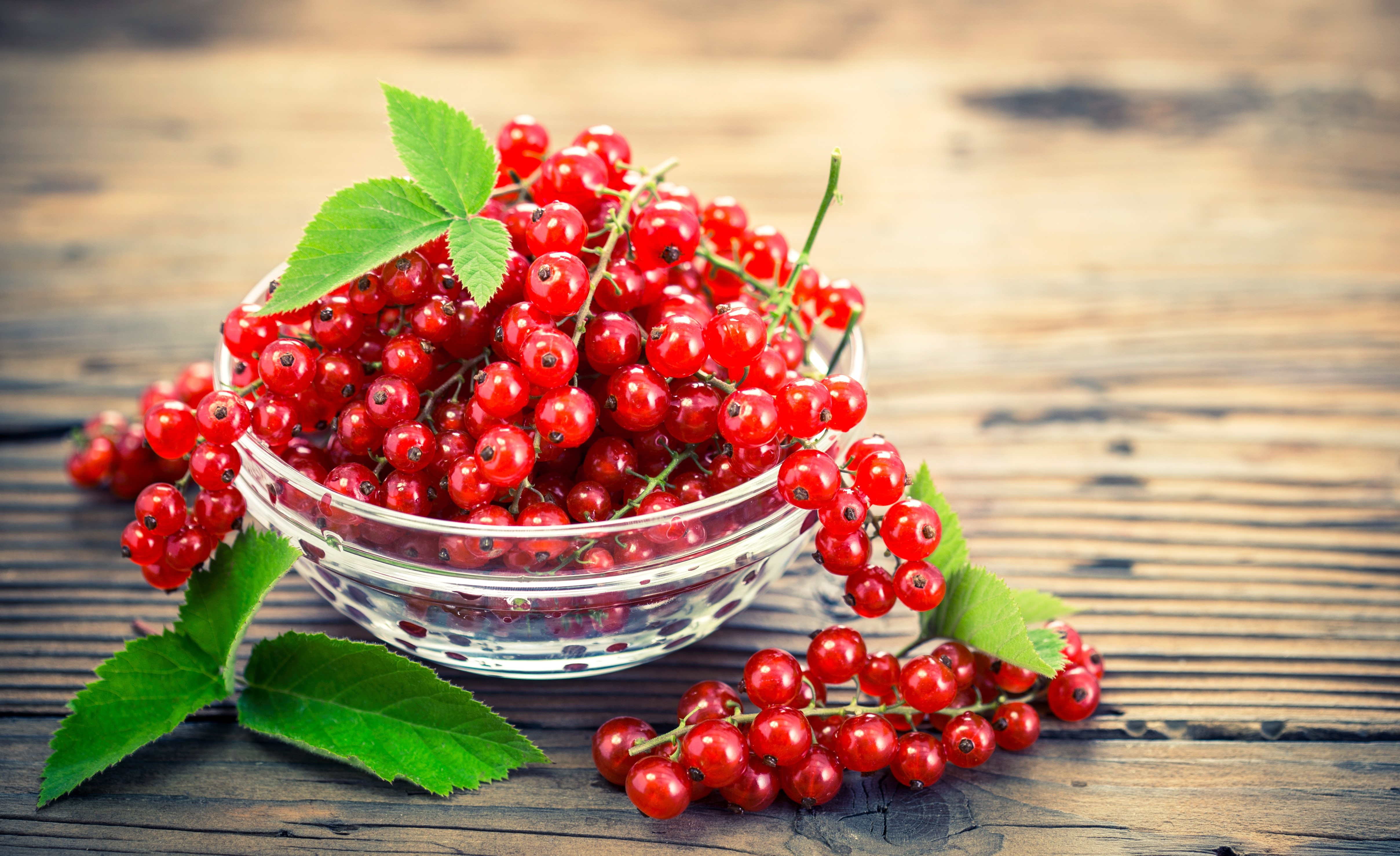 Red Currants in a Bowl HD Wallpaper