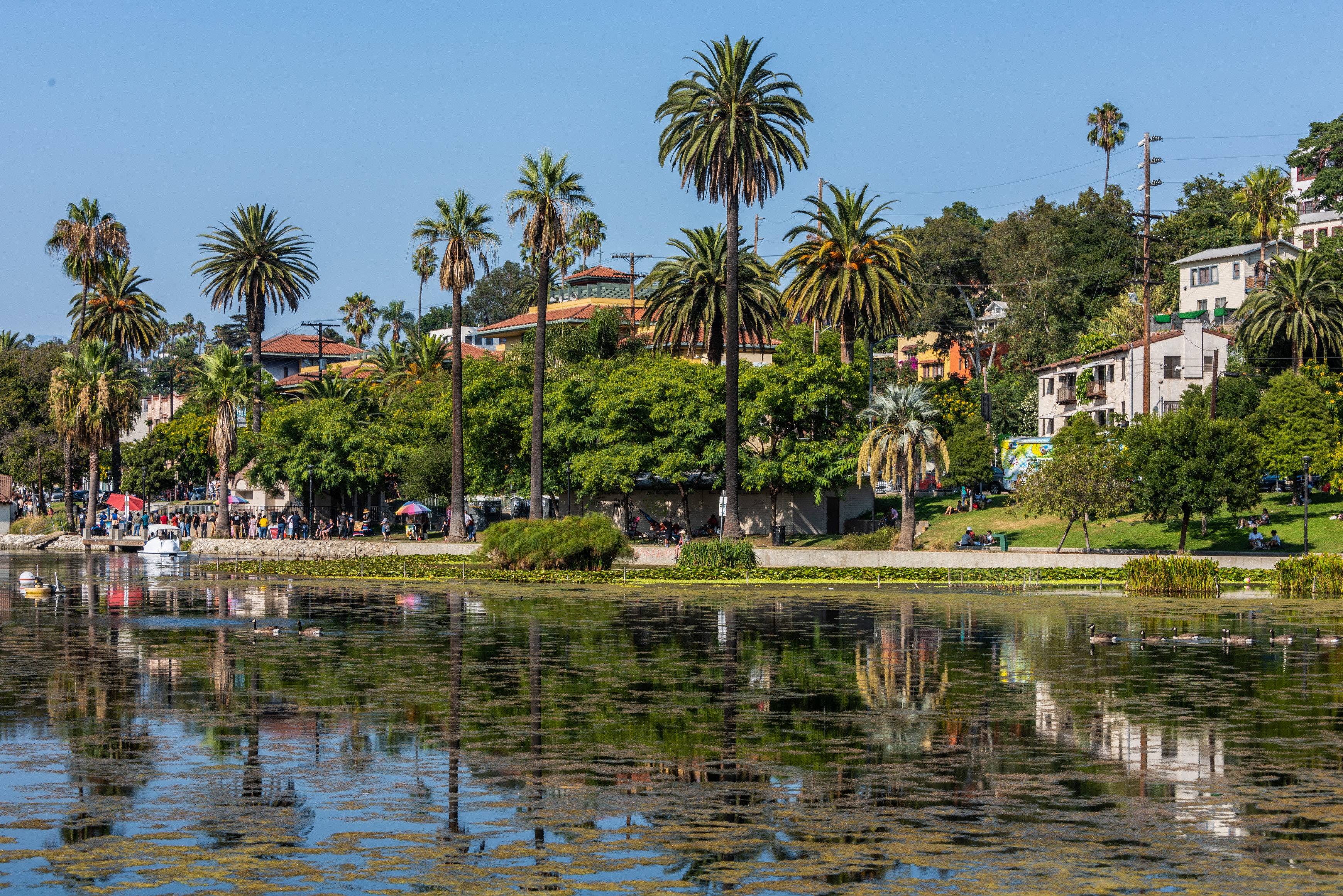 Echo Park Lake in Los Angeles, California HD Wallpaper