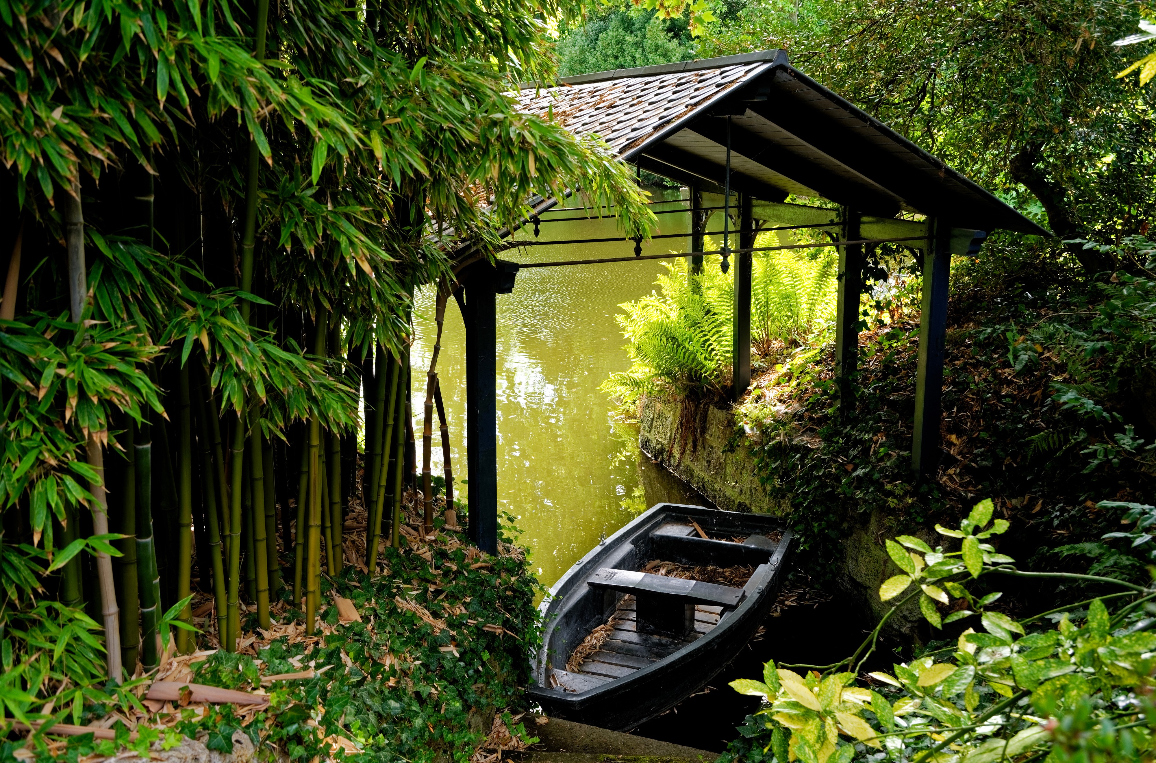 Boat docked under a covered structure near bamboo and a river HD Wallpaper