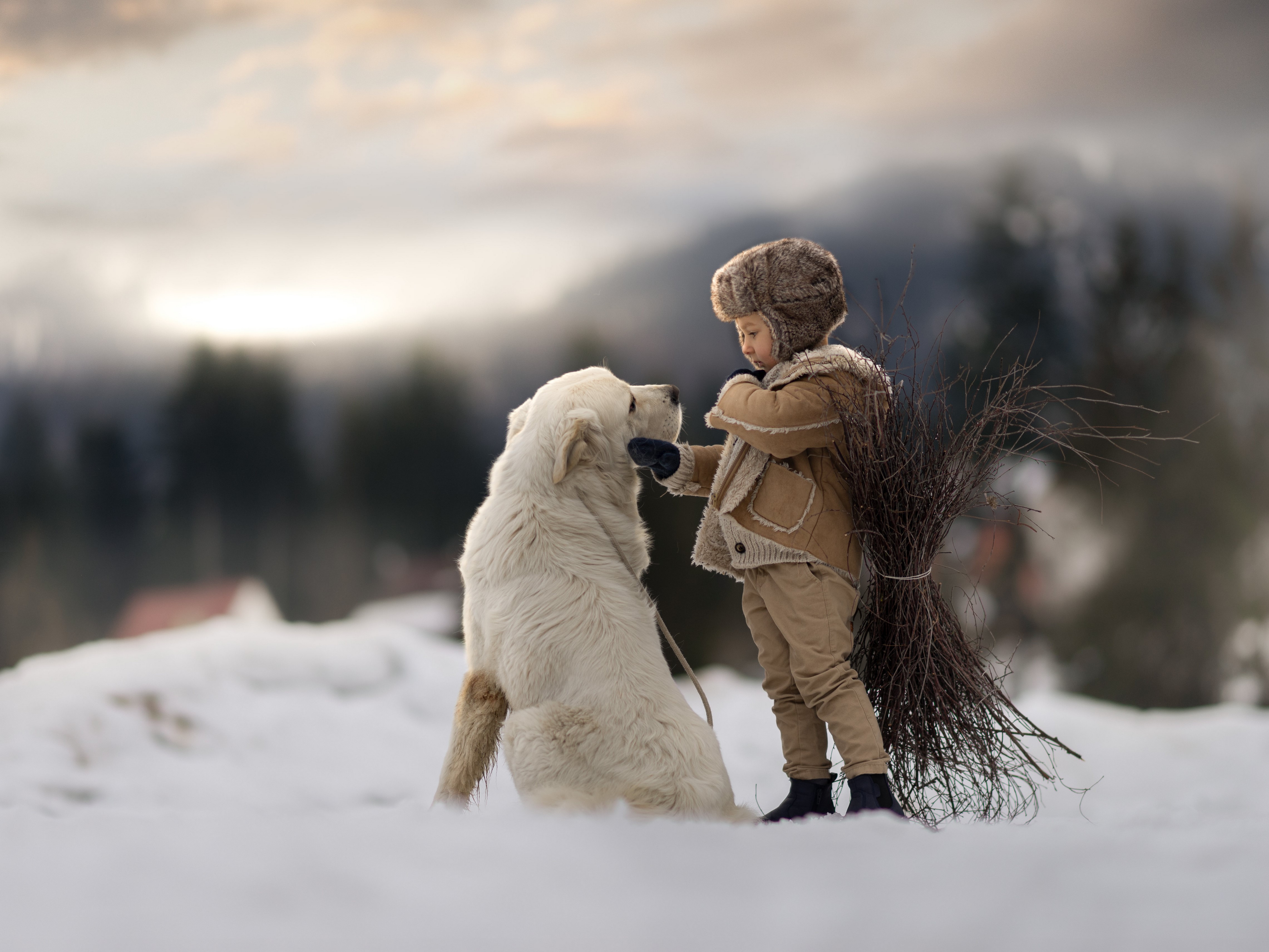 Boy and dog in the snow HD Wallpaper