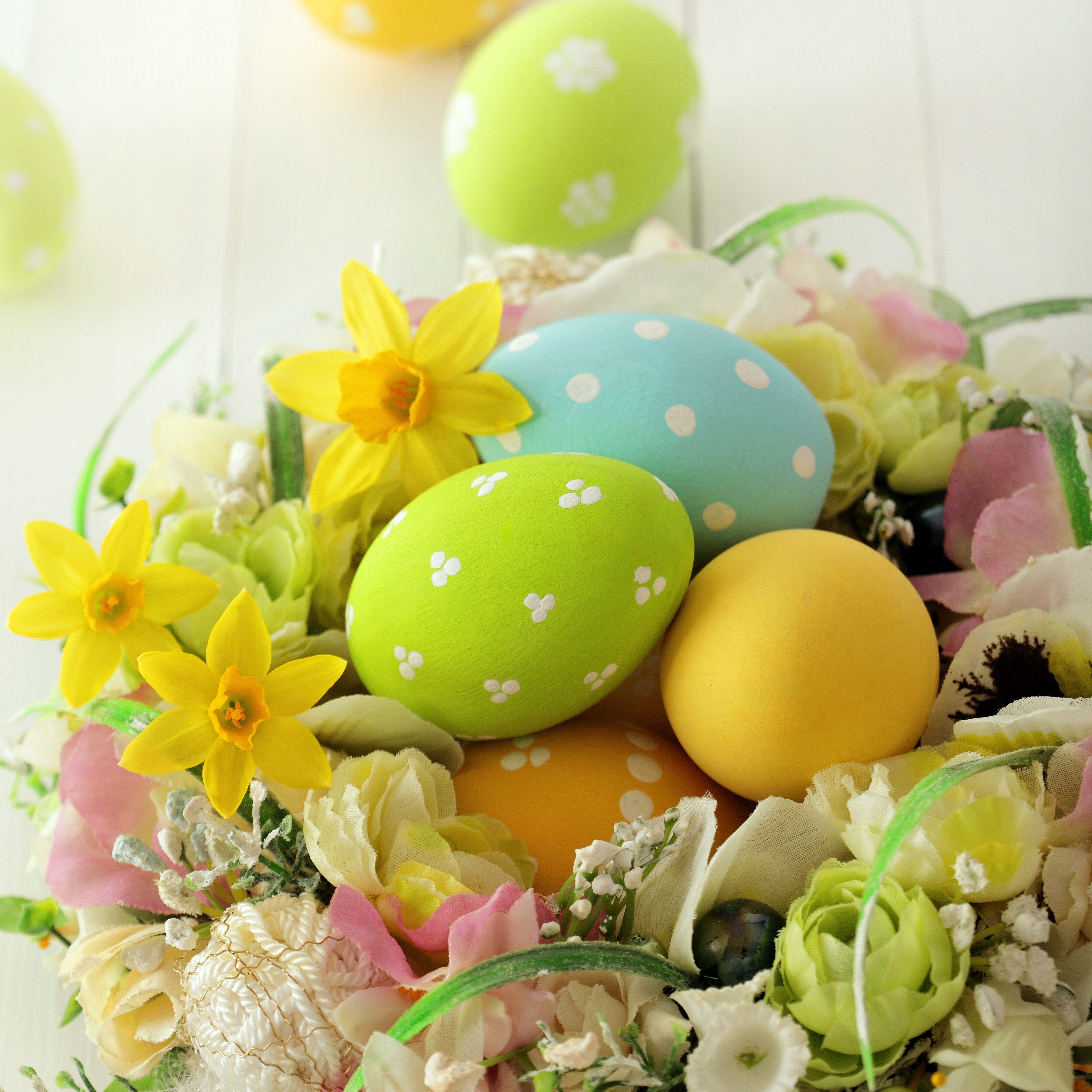Easter eggs and daffodils in a floral arrangement HD Wallpaper