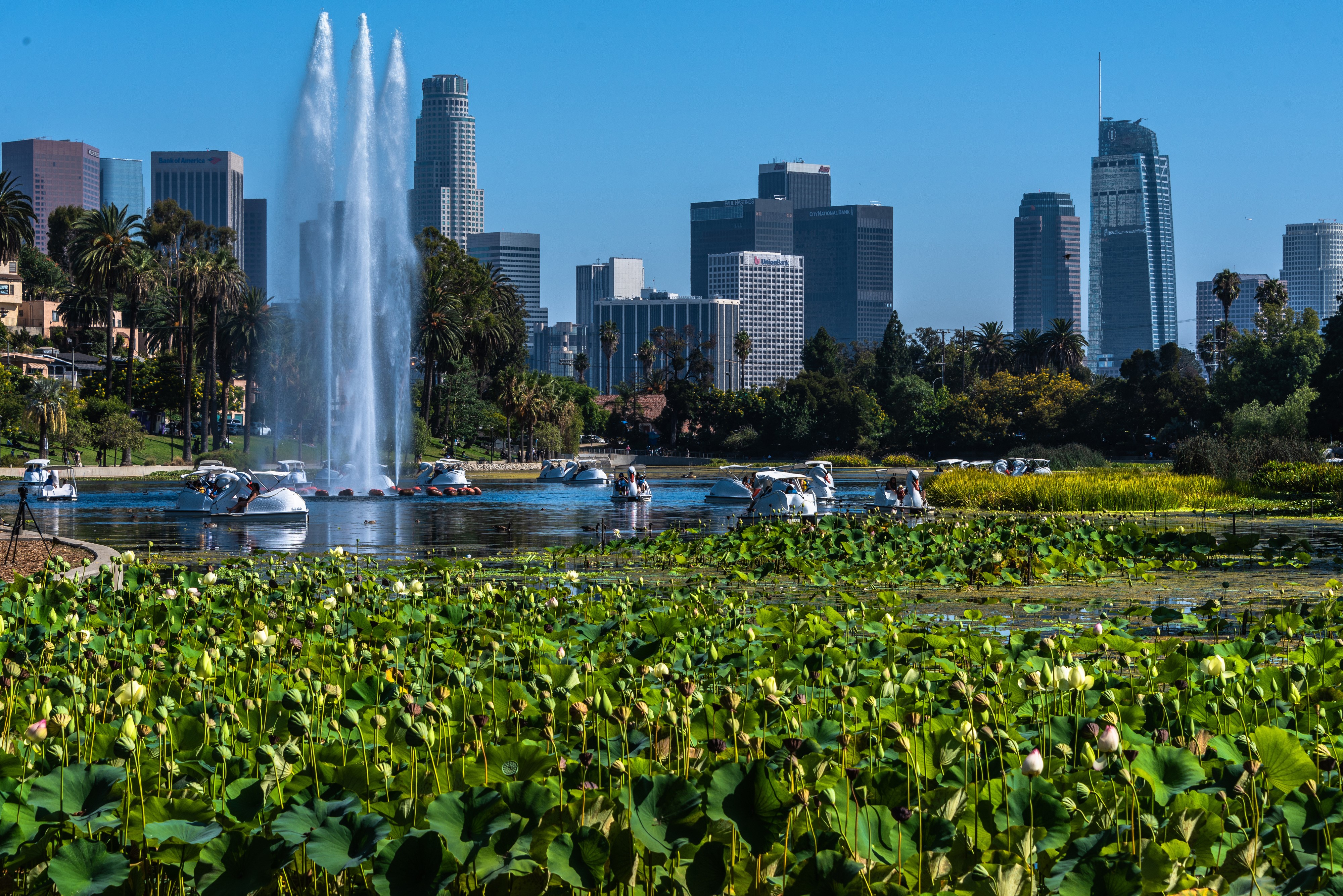 Echo Park Lake with Downtown LA Skyline and Fountain HD Wallpaper