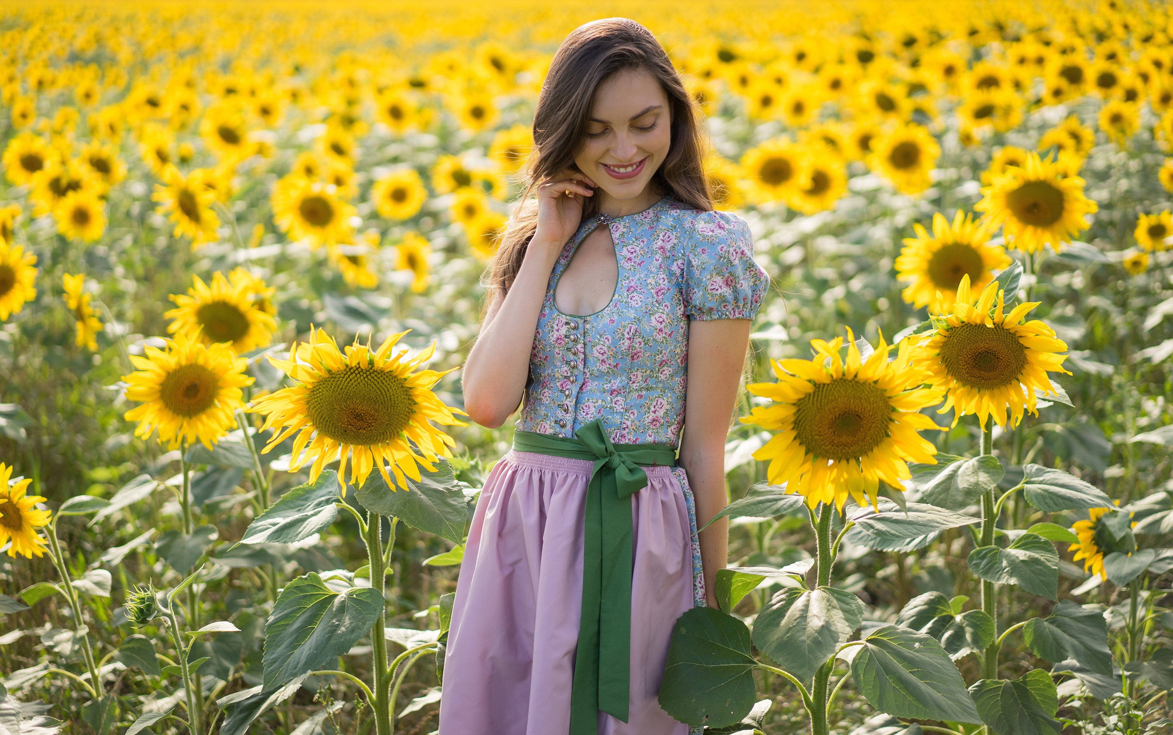 Laura in a Sunflower Field HD Wallpaper