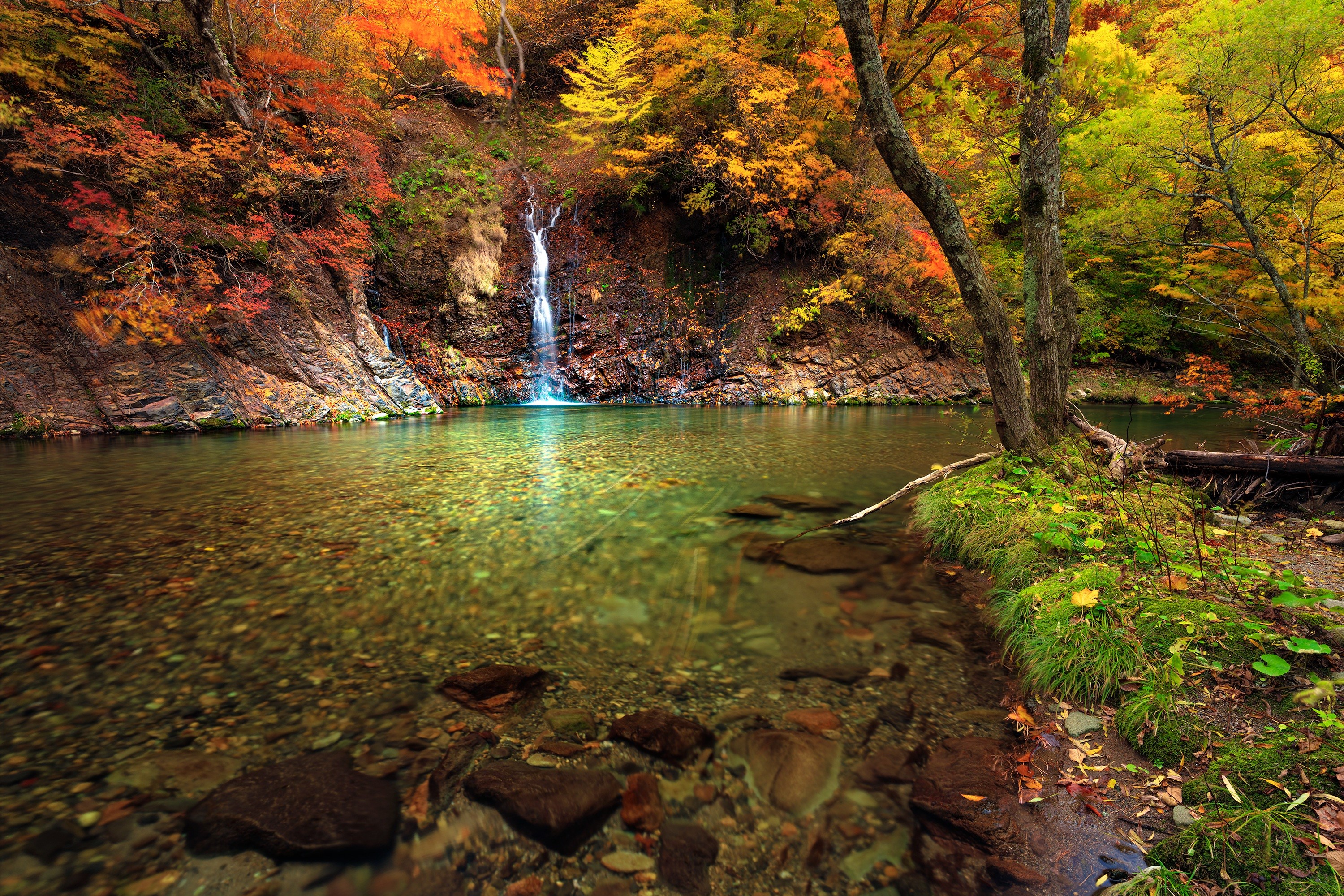 Autumn waterfall and river with colorful foliage HD Wallpaper