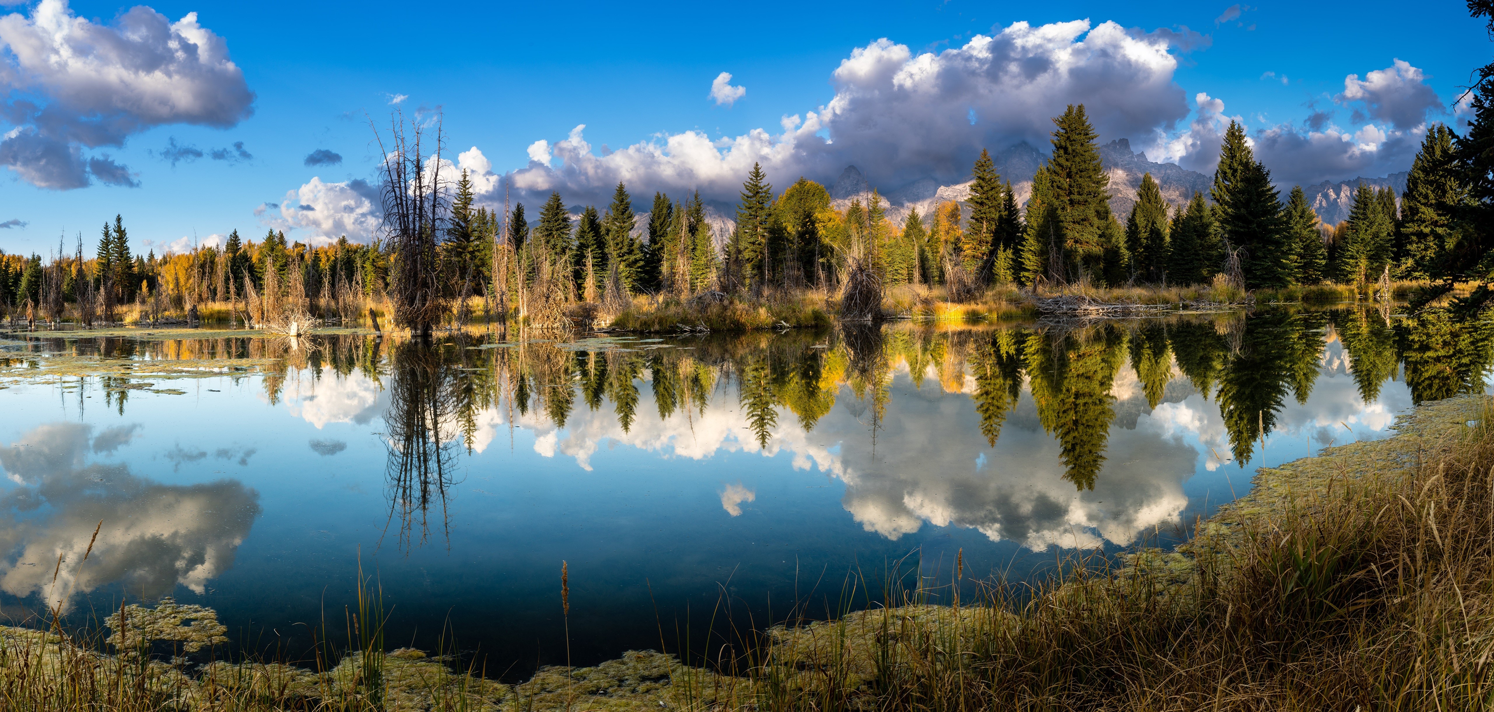 Autumn Panorama of Grand Teton National Park with Reflections HD Wallpaper