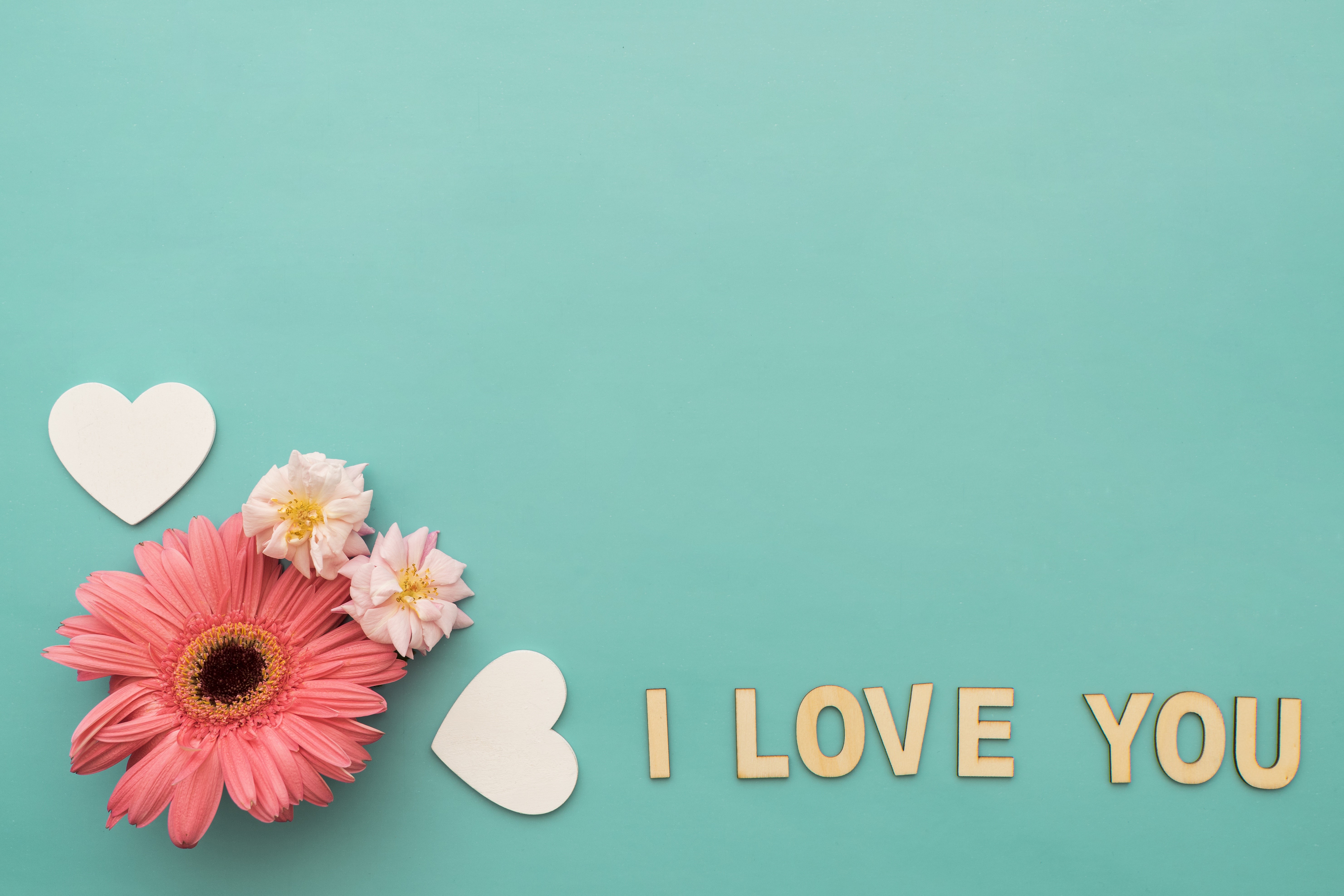 Valentine's Day greeting card with flowers and hearts HD Wallpaper