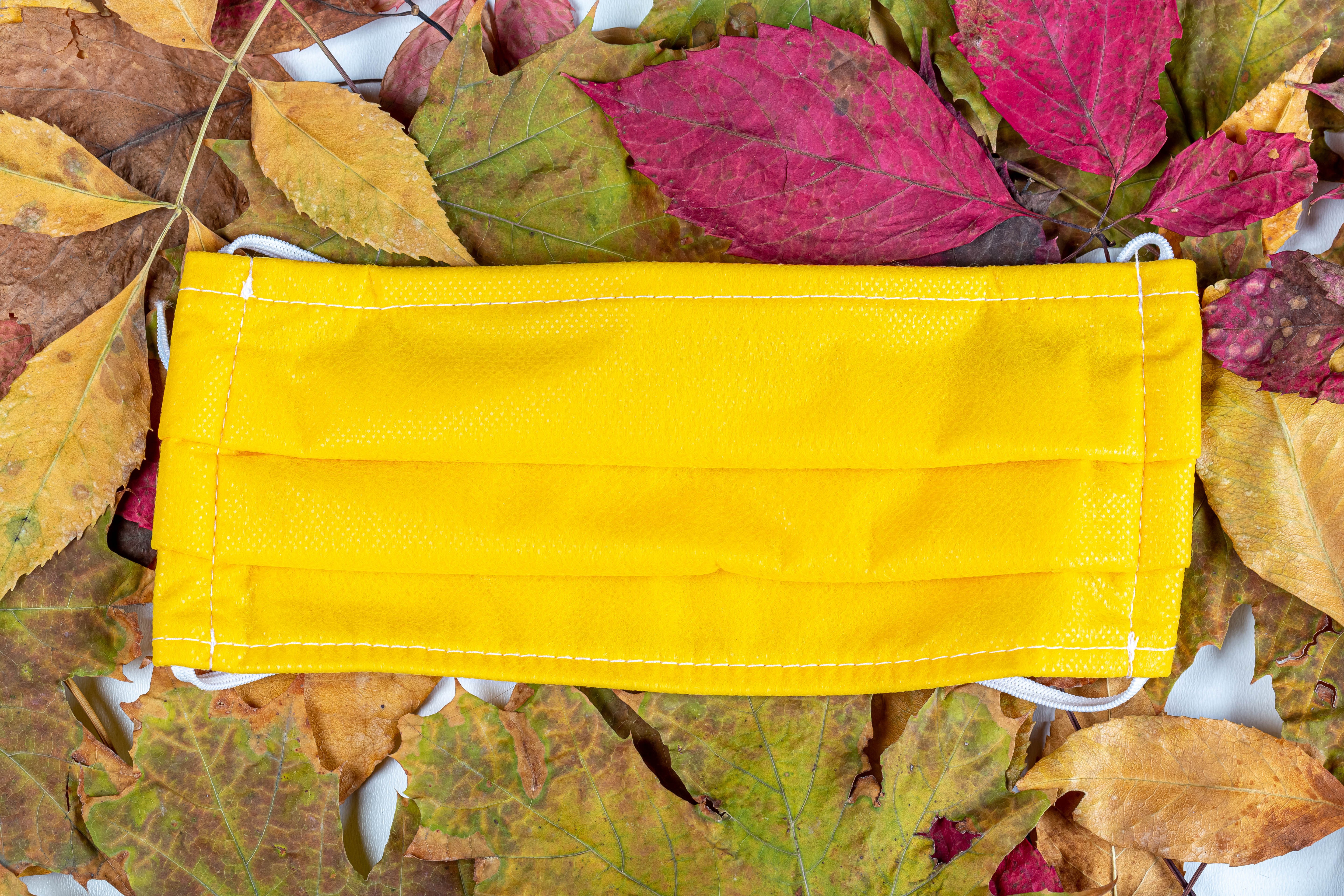 Yellow face mask on autumn leaves HD Wallpaper