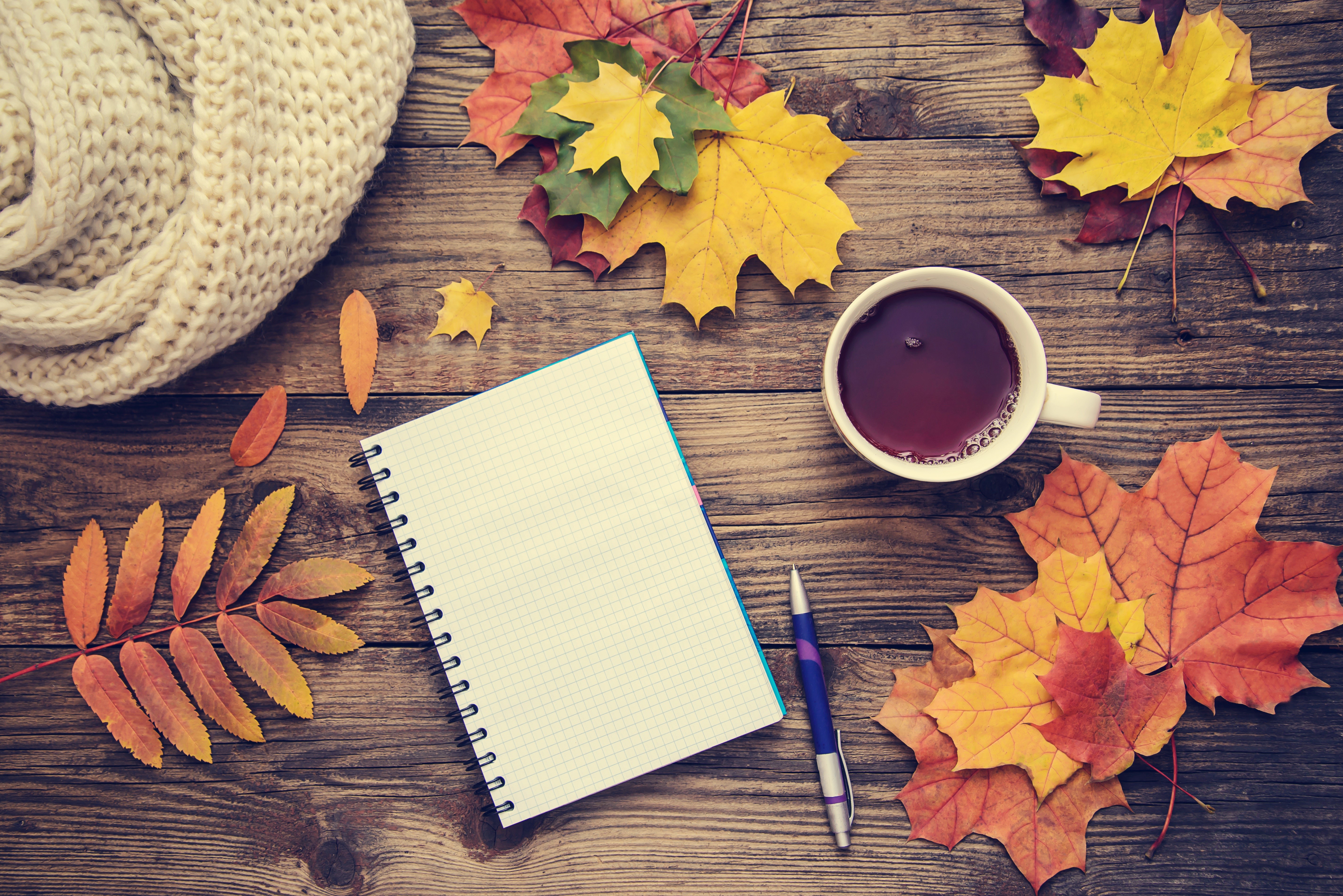Autumn still life with tea, notepad, and scarf HD Wallpaper