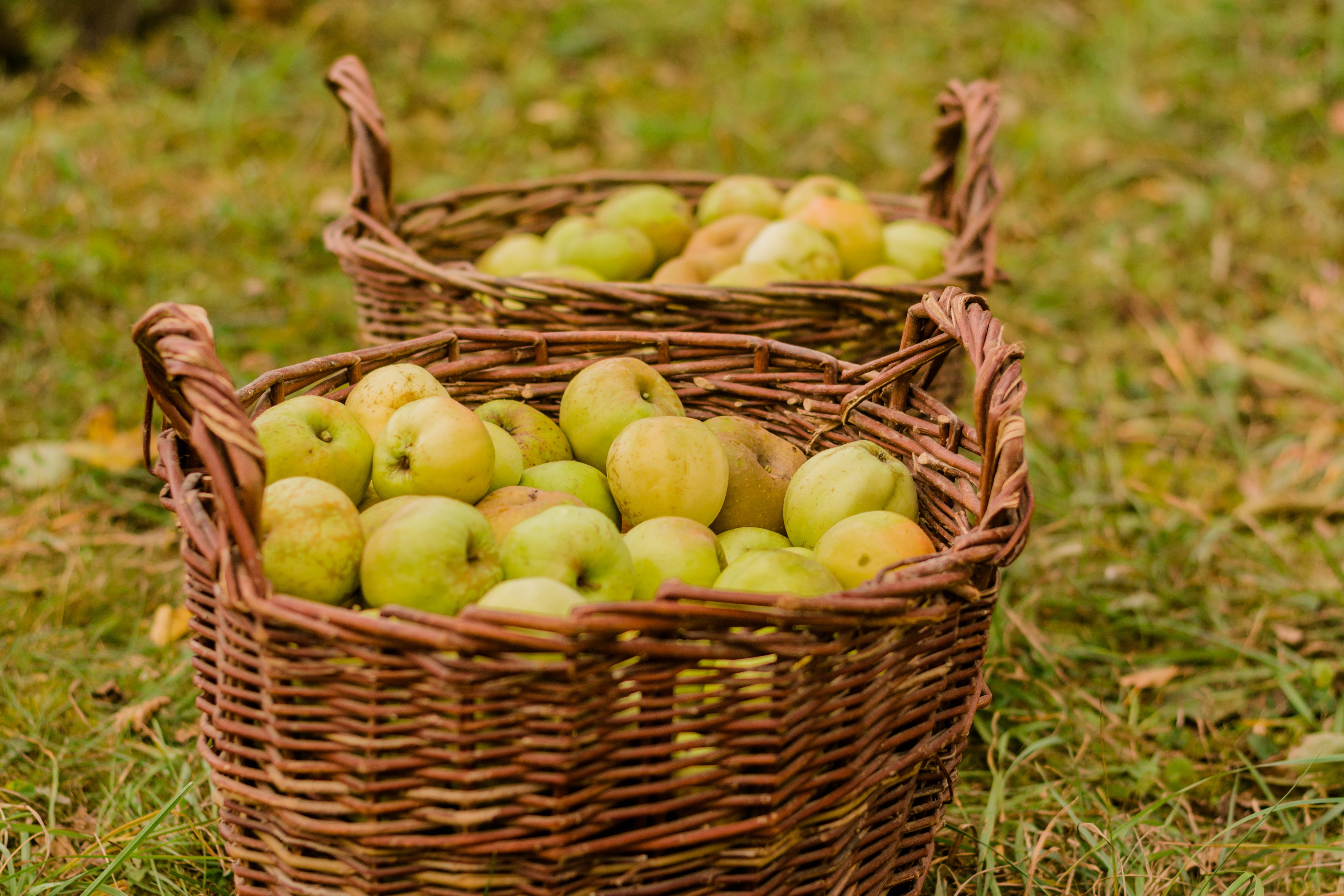 Apples in Wicker Baskets HD Wallpaper