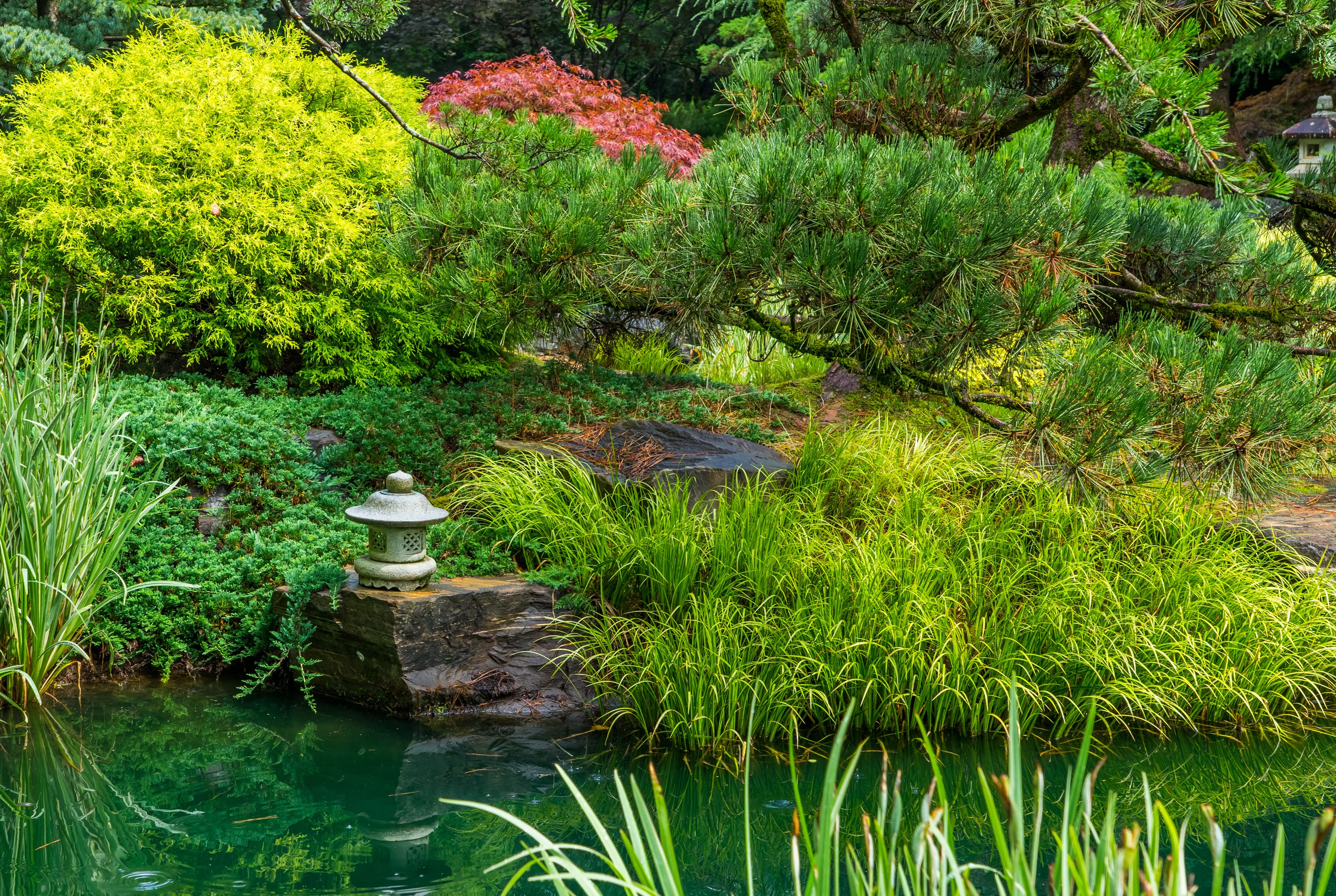 Japanese garden with pond and stone lantern HD Wallpaper