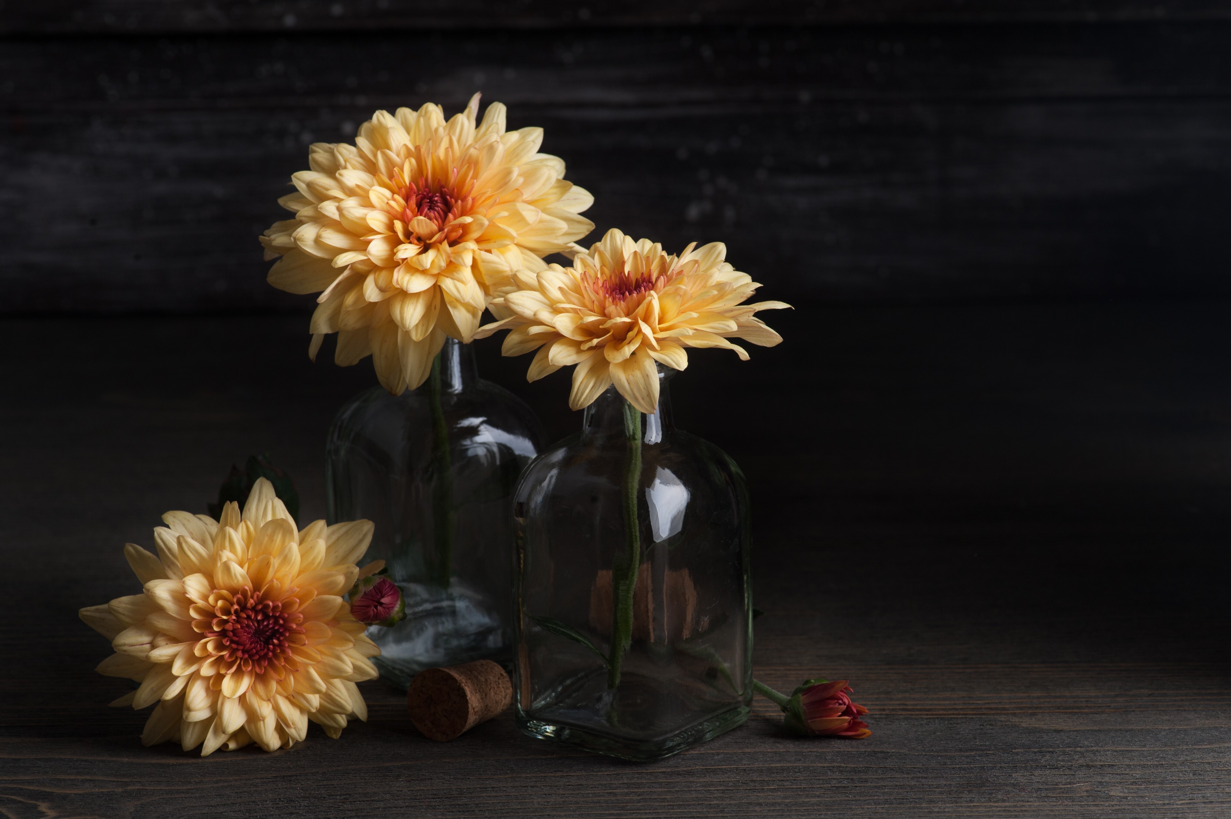 Chrysanthemums in glass bottles on a wooden table HD Wallpaper