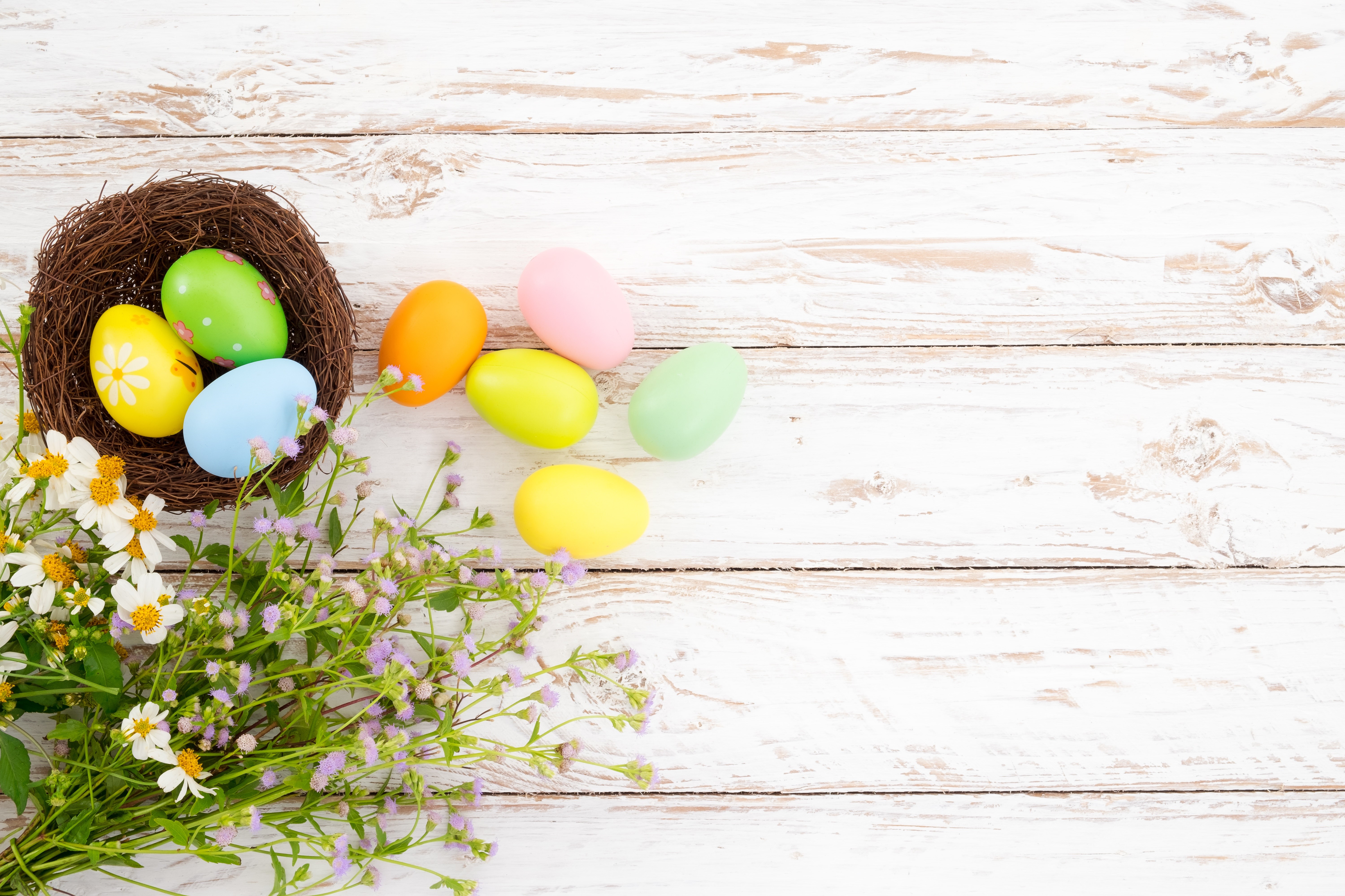 Easter eggs in a nest with flowers on wood planks HD Wallpaper