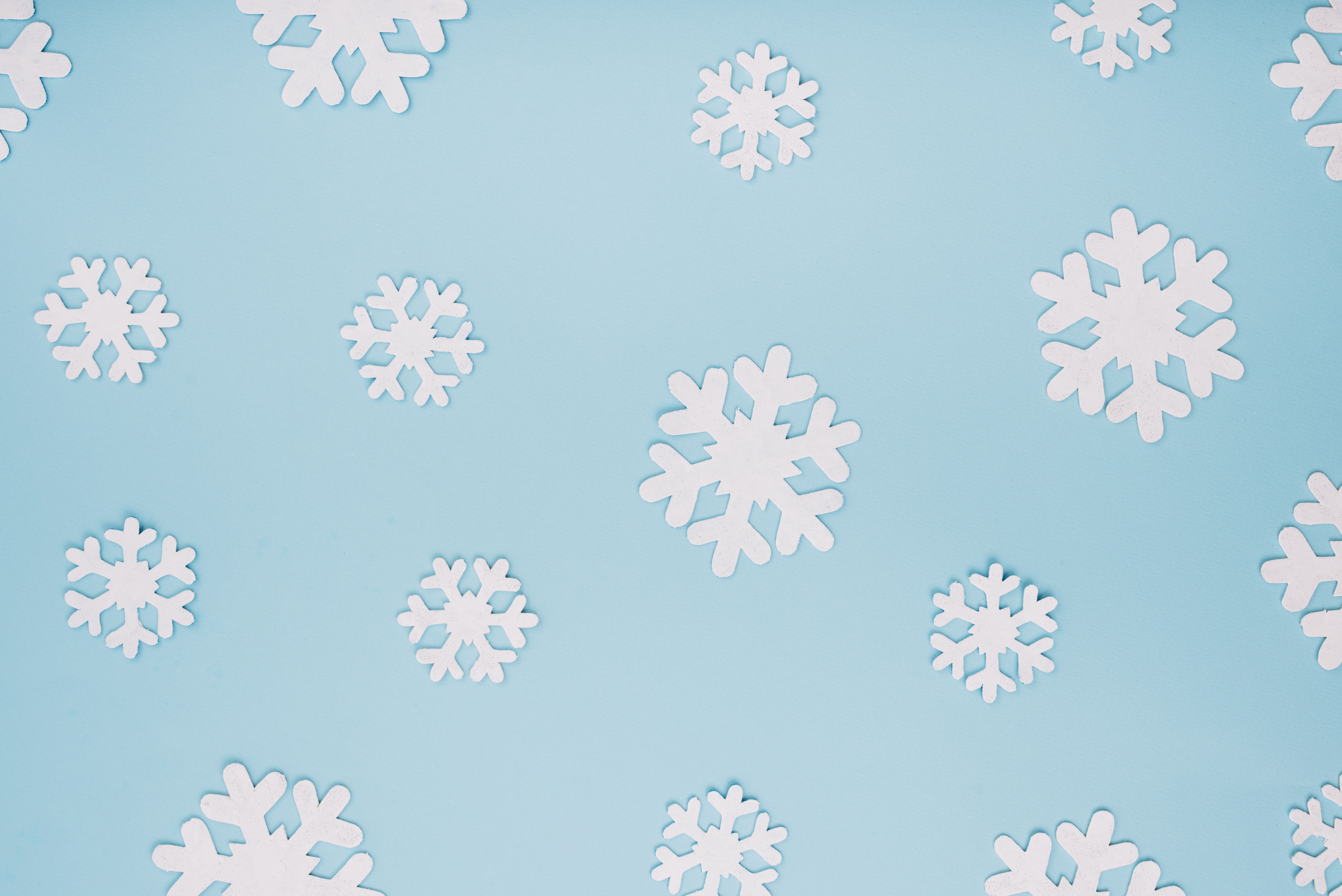 White snowflakes on a blue background HD Wallpaper